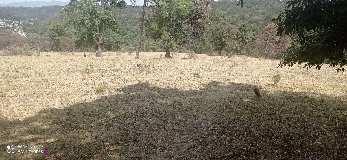 Terreno Spot2