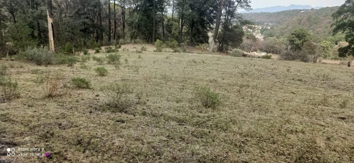 Terreno Spot2