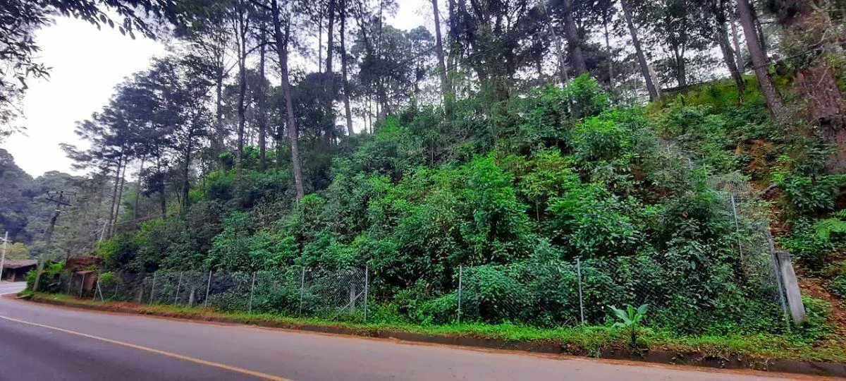 Terreno Spot2