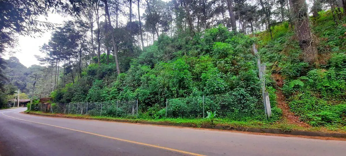 Terreno Spot2