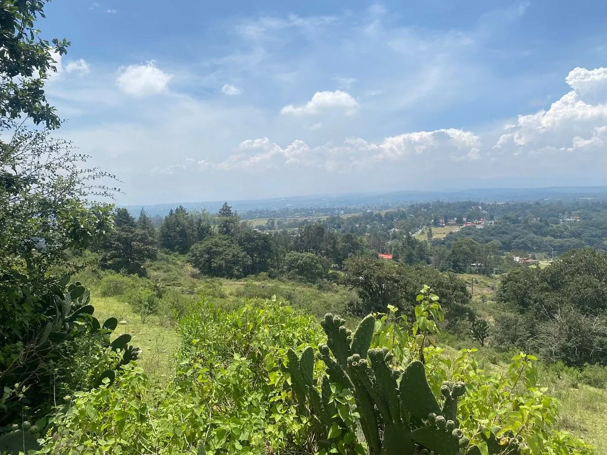 Terreno Spot2
