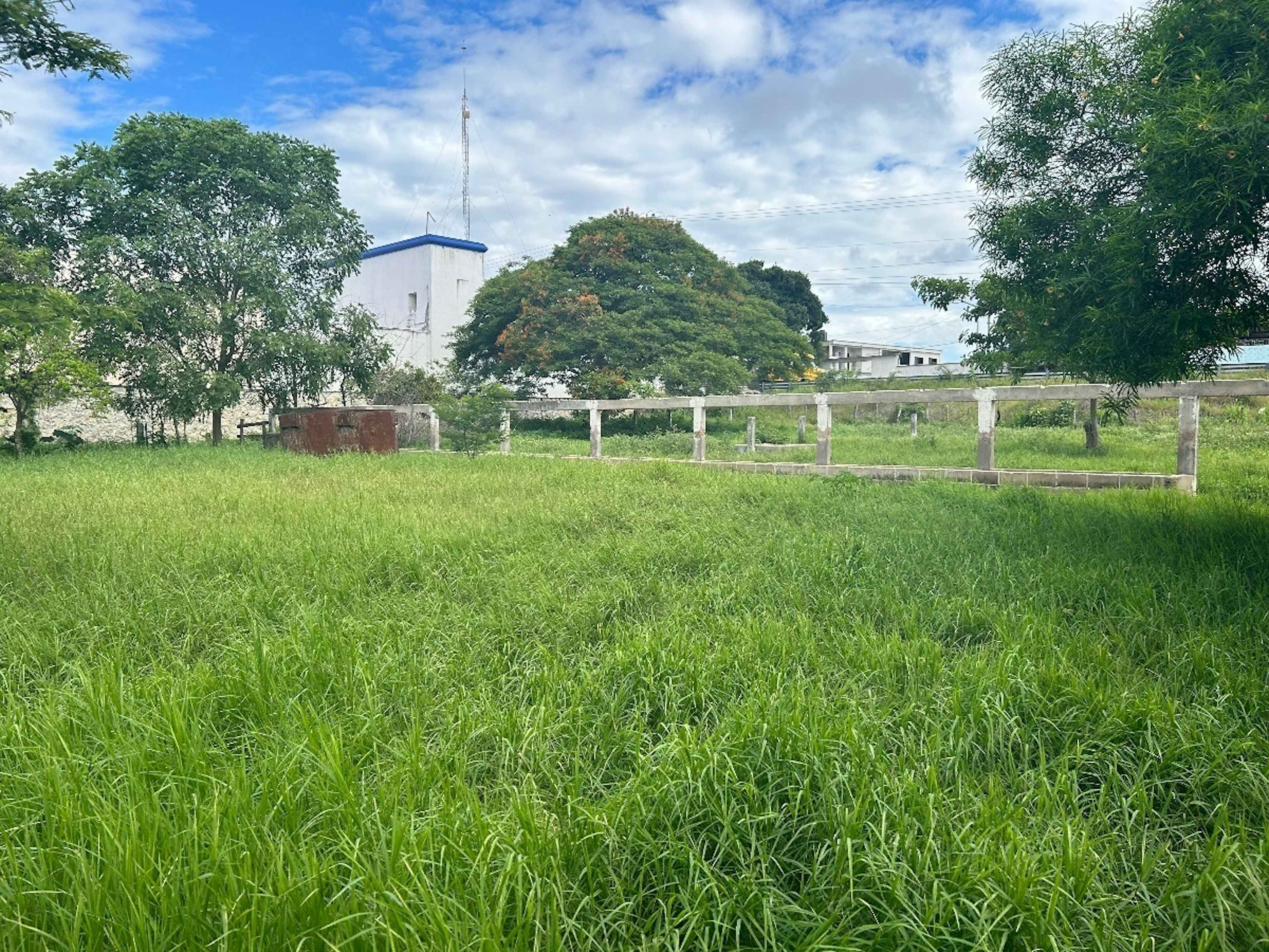 Carretera Internacional 299