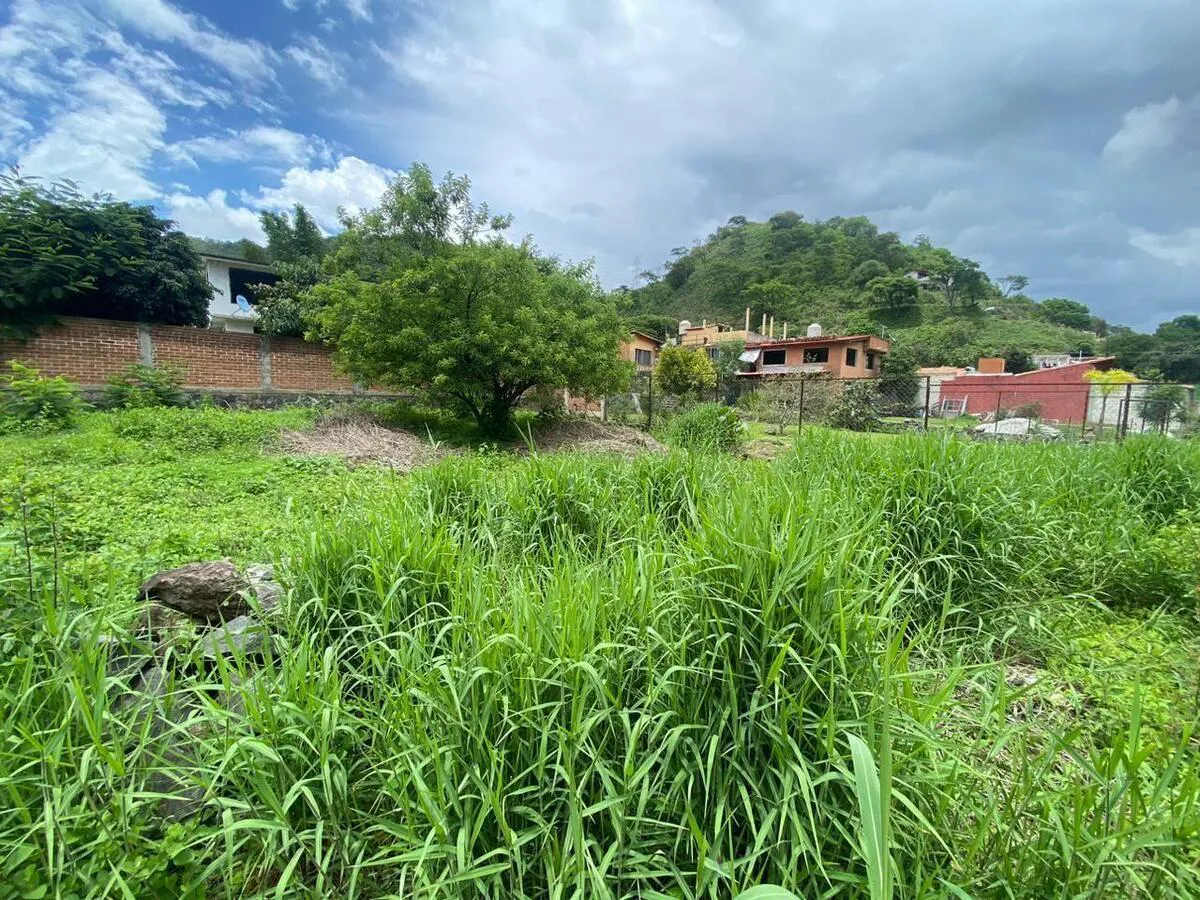 Terreno Spot2