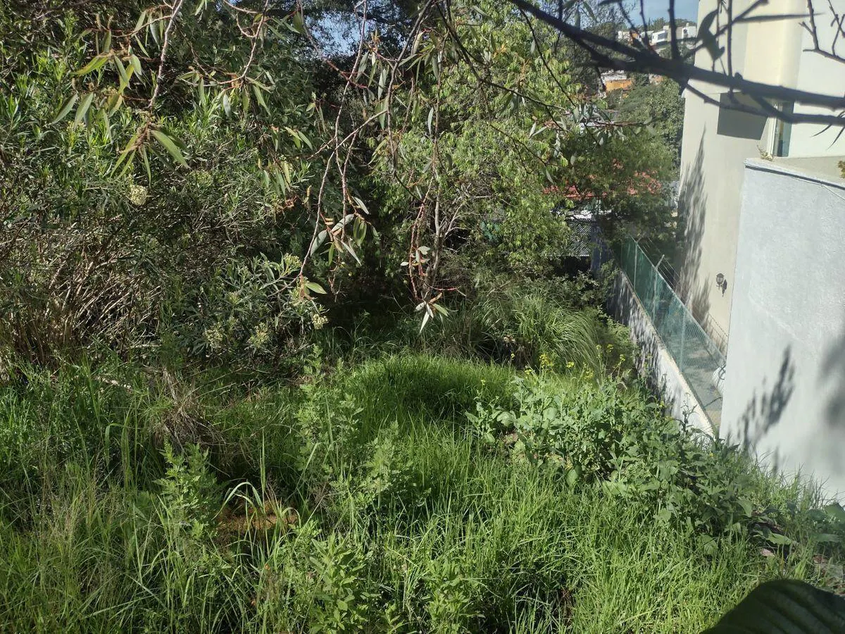 Terreno Spot2