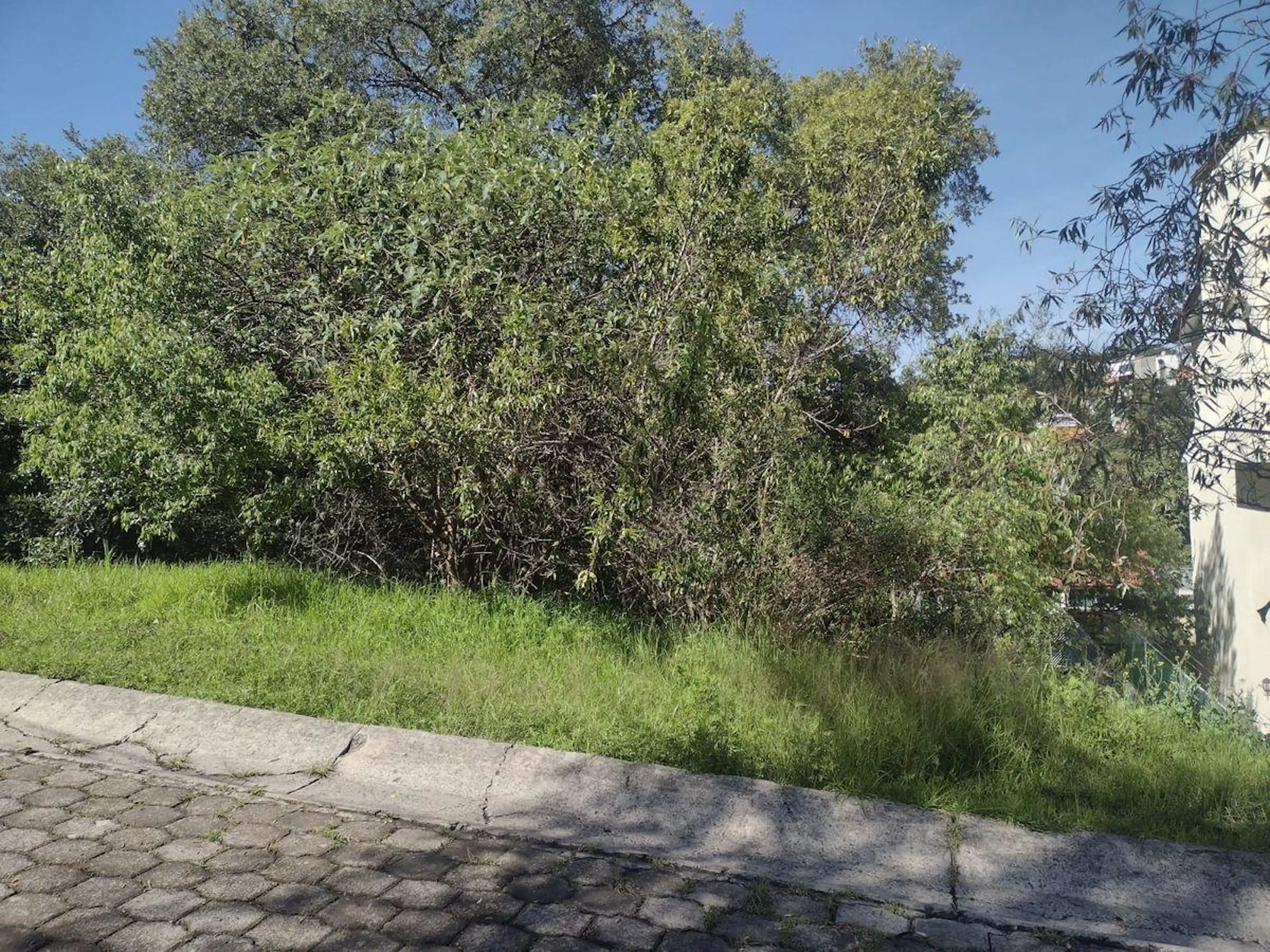 Venta Terreno en Sayavedra