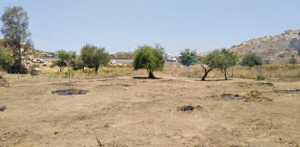 Terreno Spot2