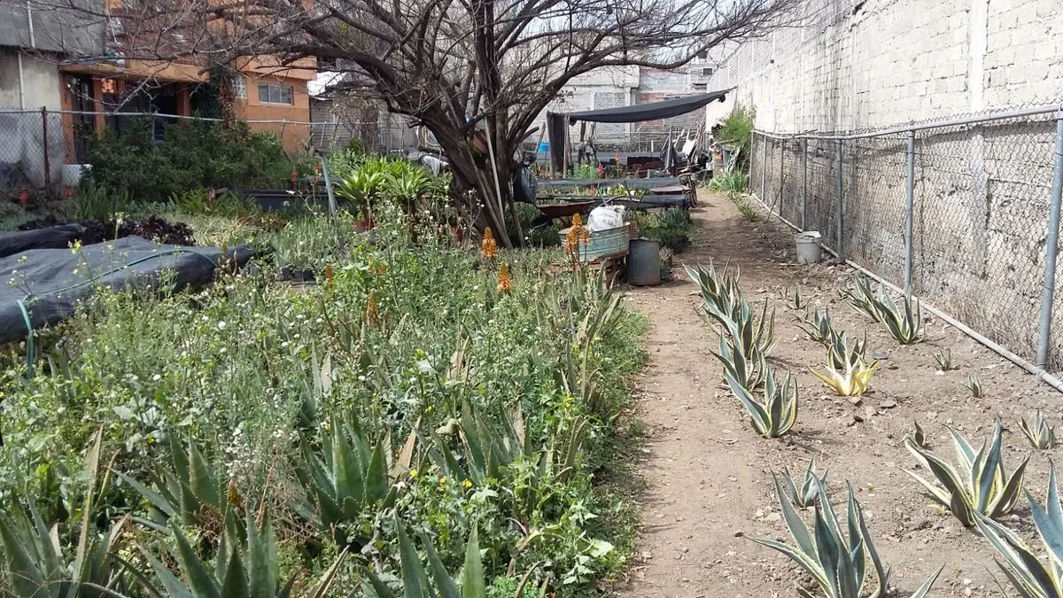 Terreno Spot2