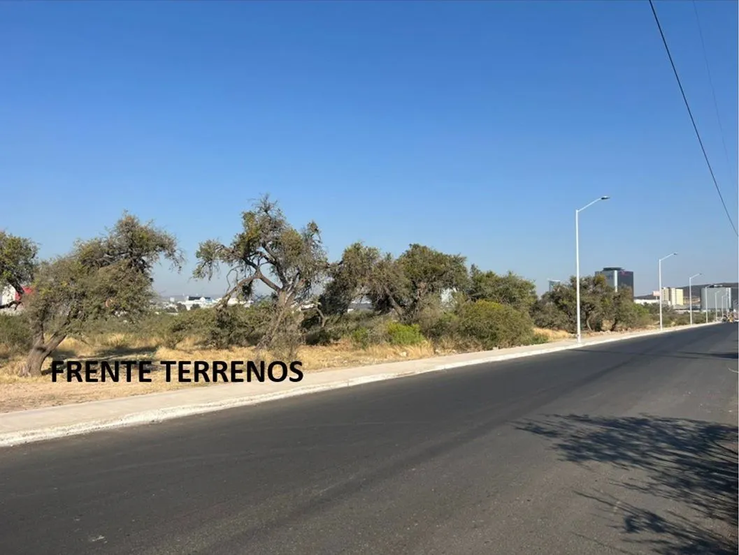 Terreno Spot2