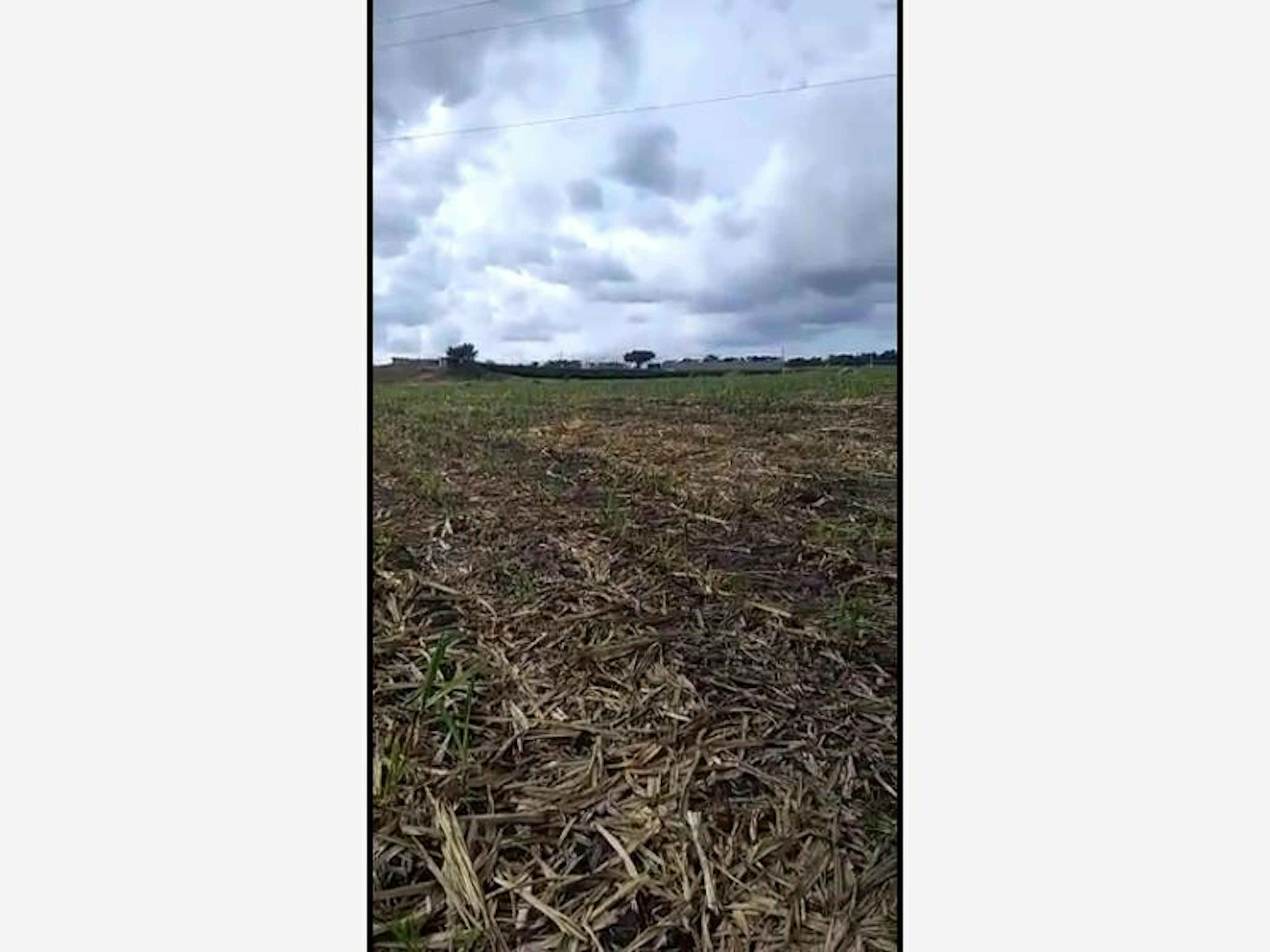 Terreno En Venta En Alcaraces, Cuauhtémoc, Colima