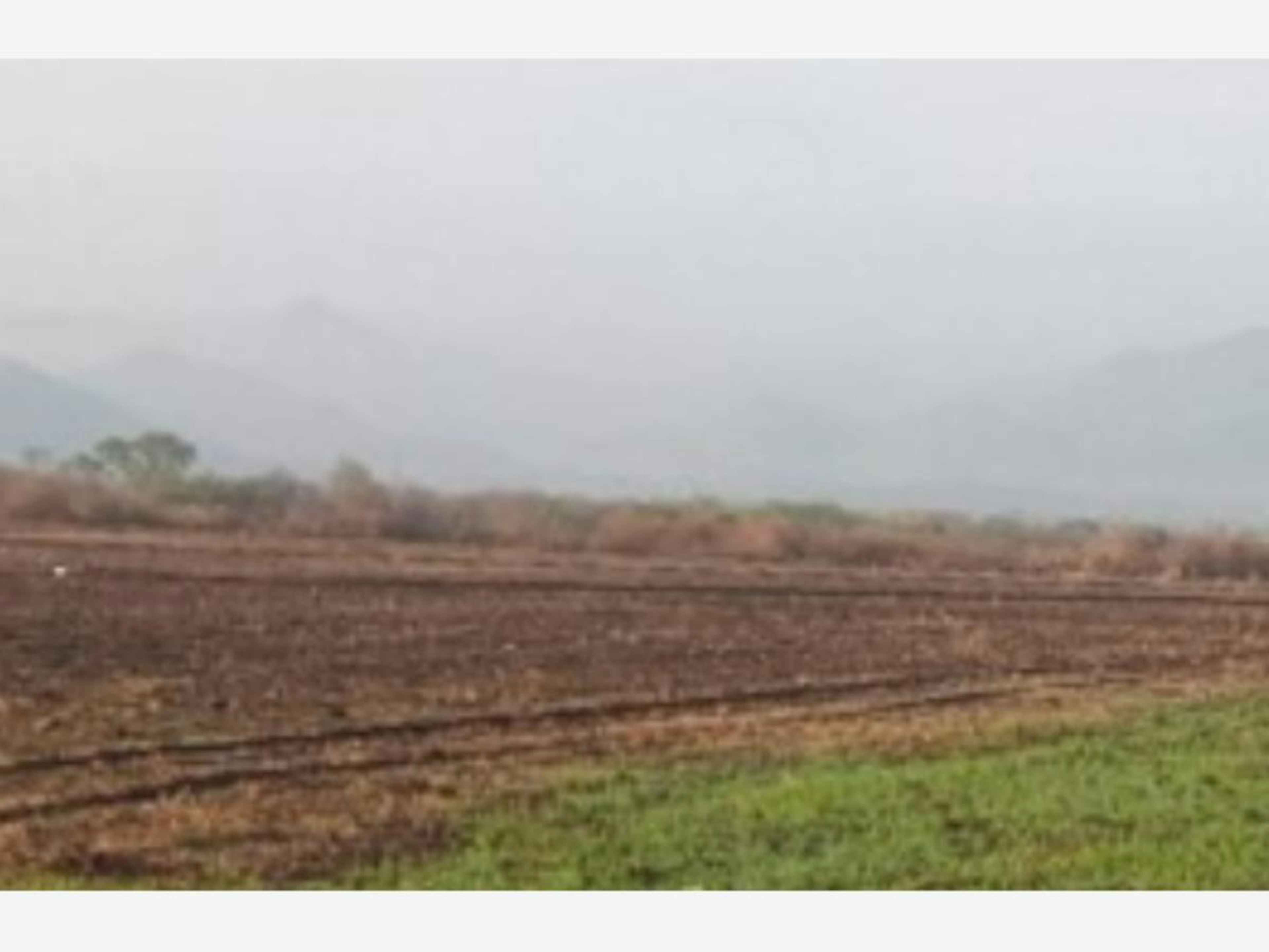 Terreno En Venta En El Trapiche, Cuauhtémoc, Colima