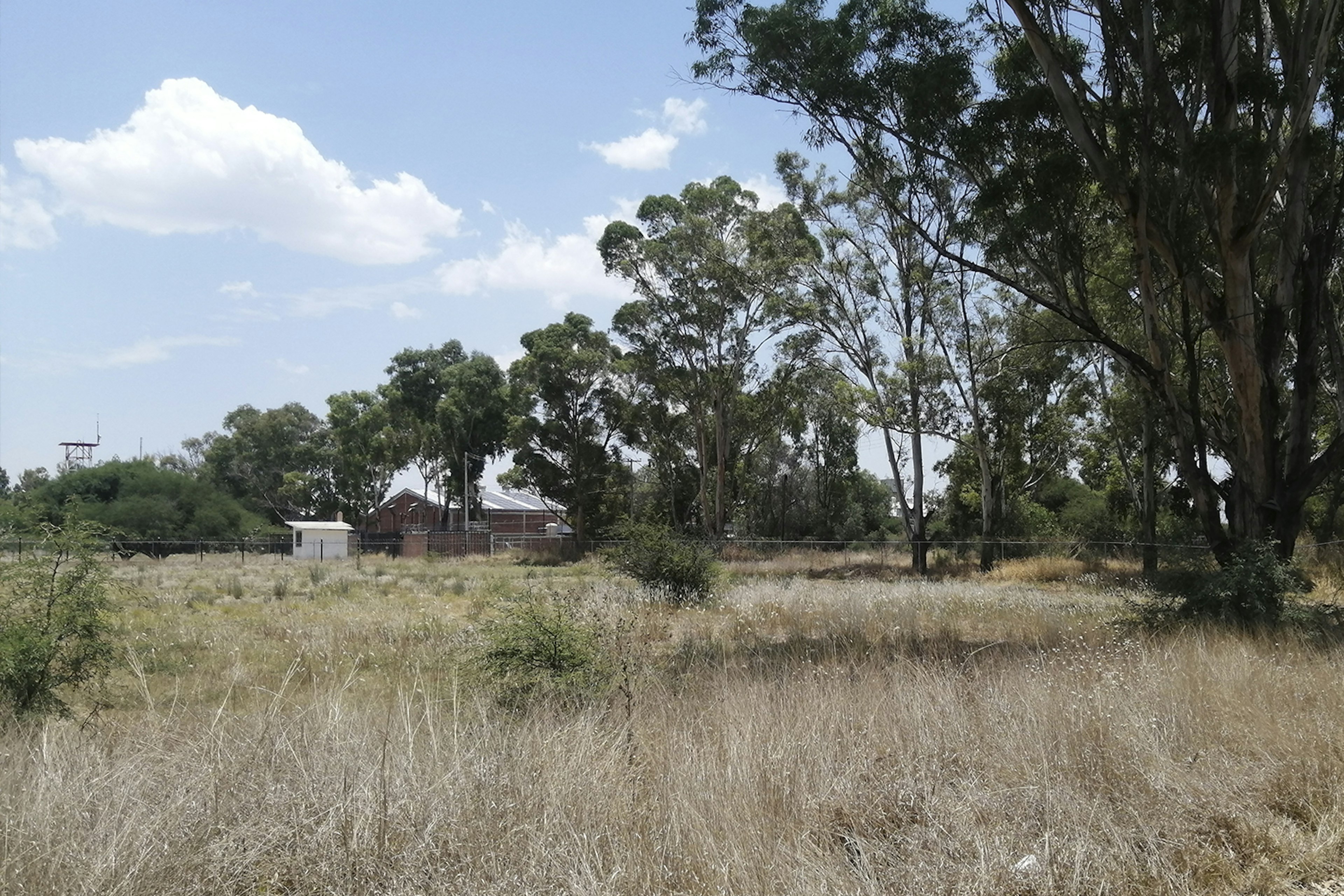 Terreno amplio con vegetación seca y árboles maduros en el fondo, con una casa de ladrillos y techo a dos aguas visible a través de la valla. Ideal para desarrollo inmobiliario o agrícola.