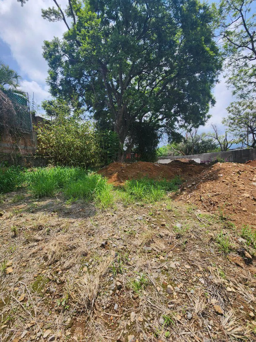 Terreno Spot2