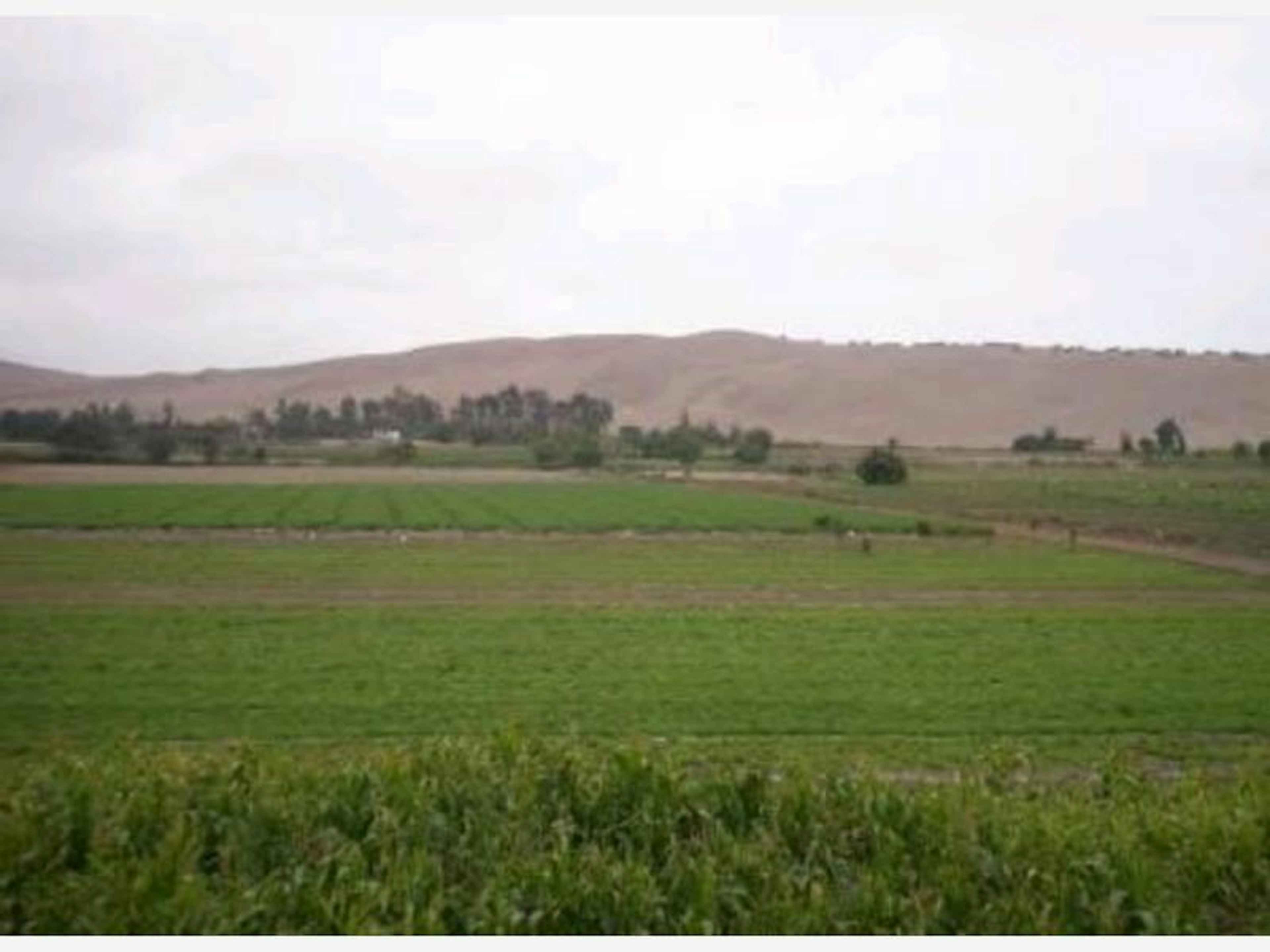 Terreno En Venta En Palmillas, Cuauhtémoc, Colima