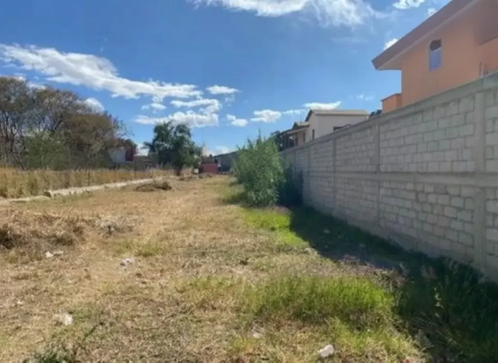 Terreno Spot2