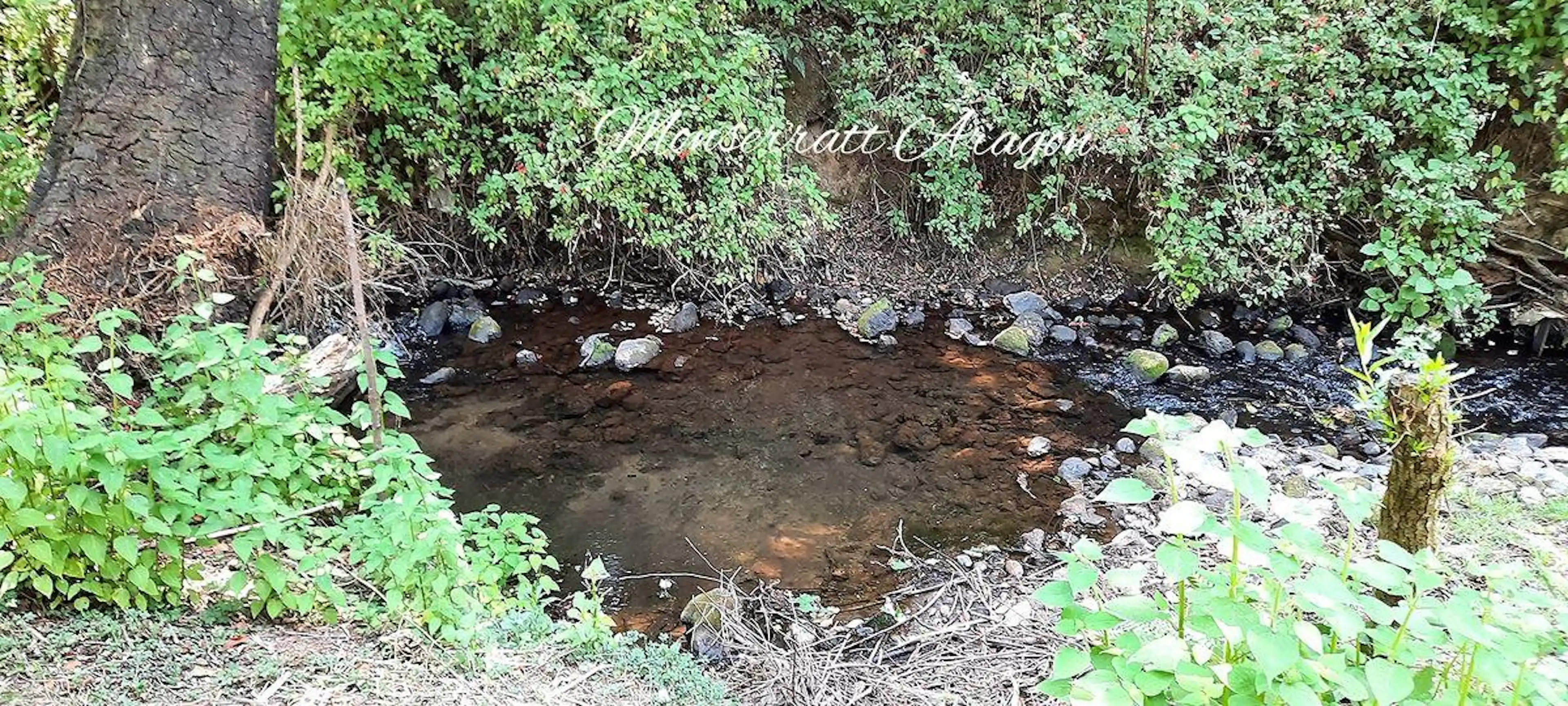 Vendo precioso terreno con agua