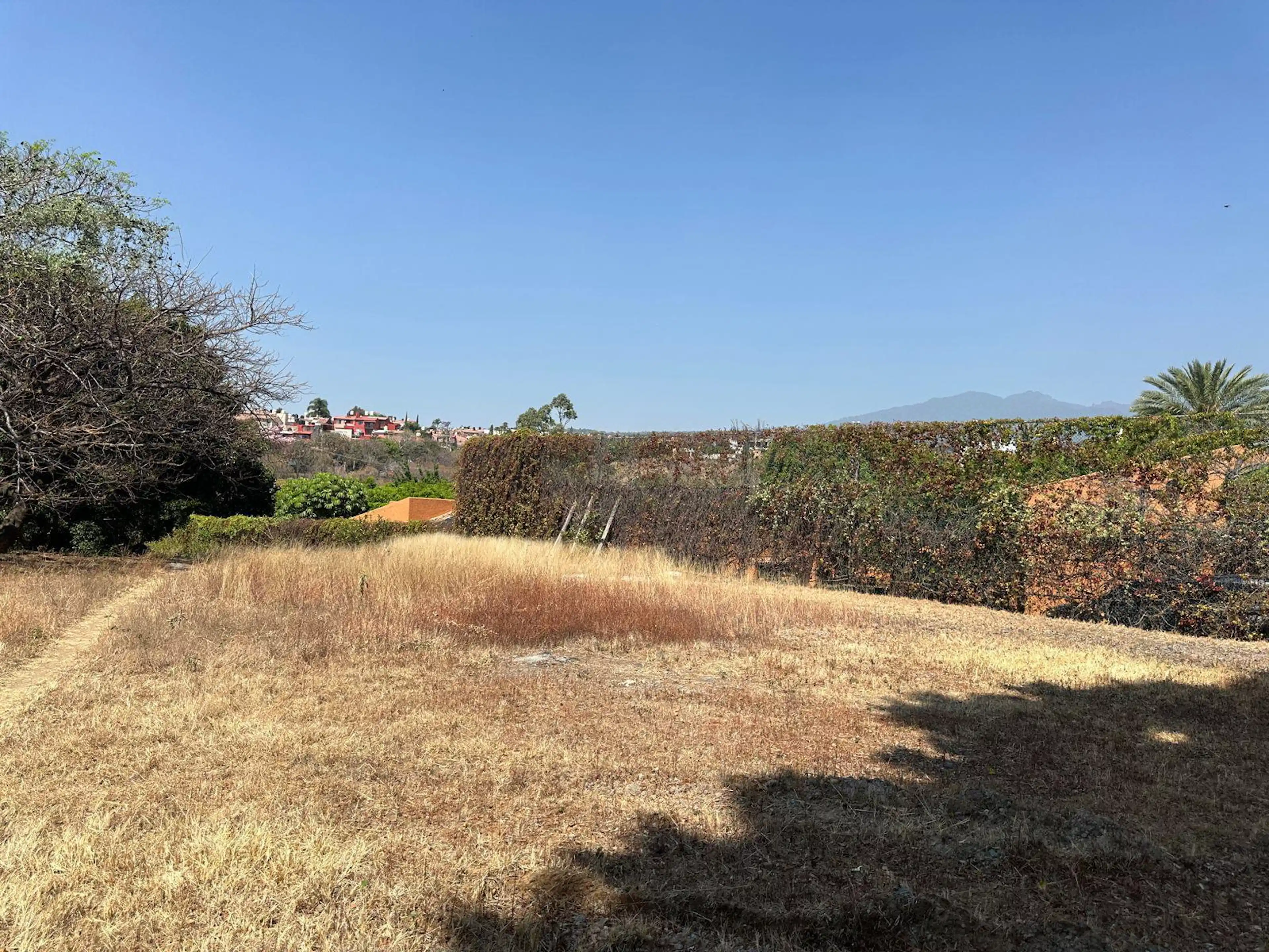 Terreno En Calzada De Los Reyes