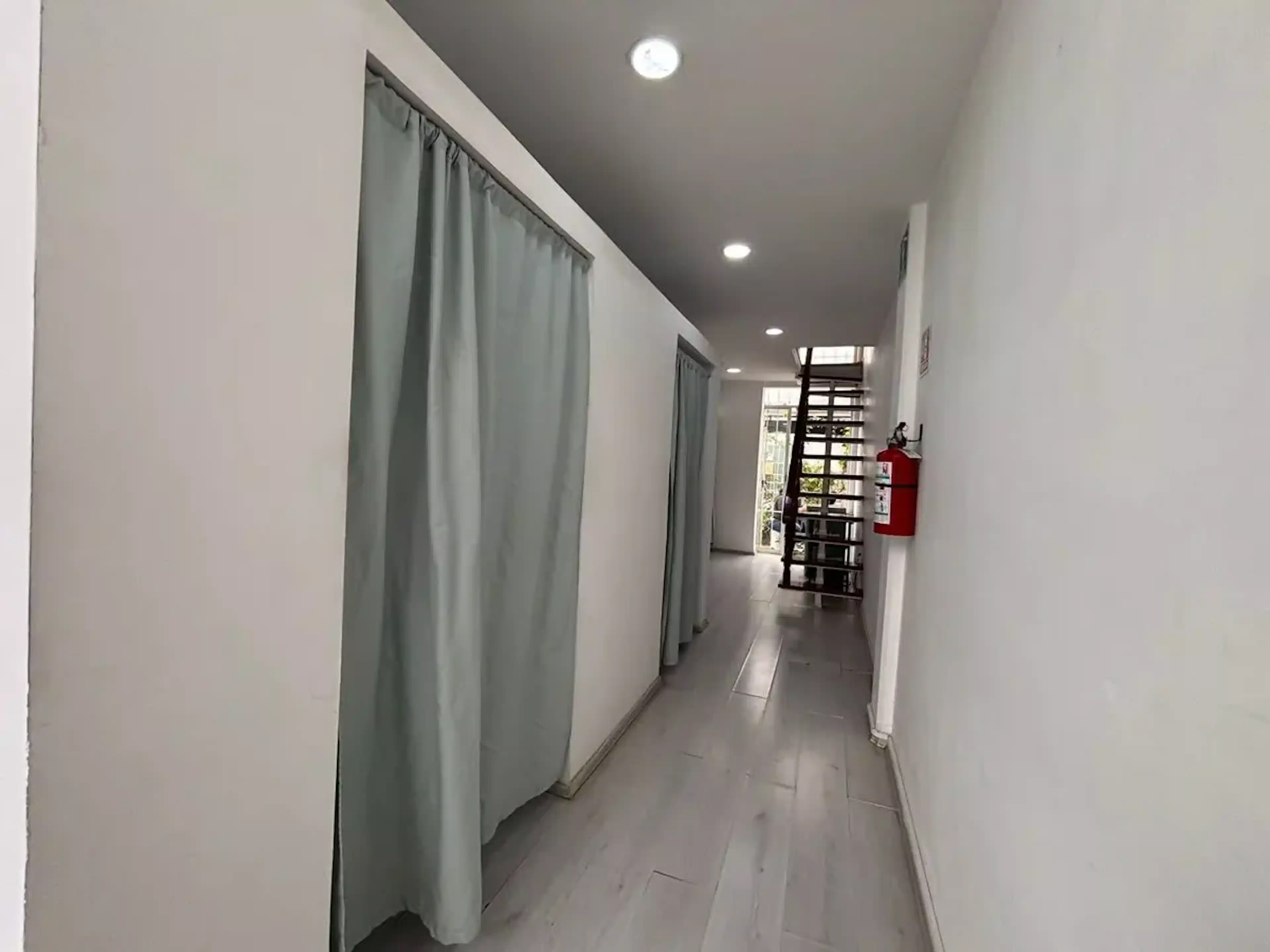 Palo Solo 103