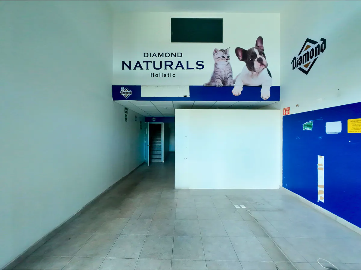 Local Comercial Spot2