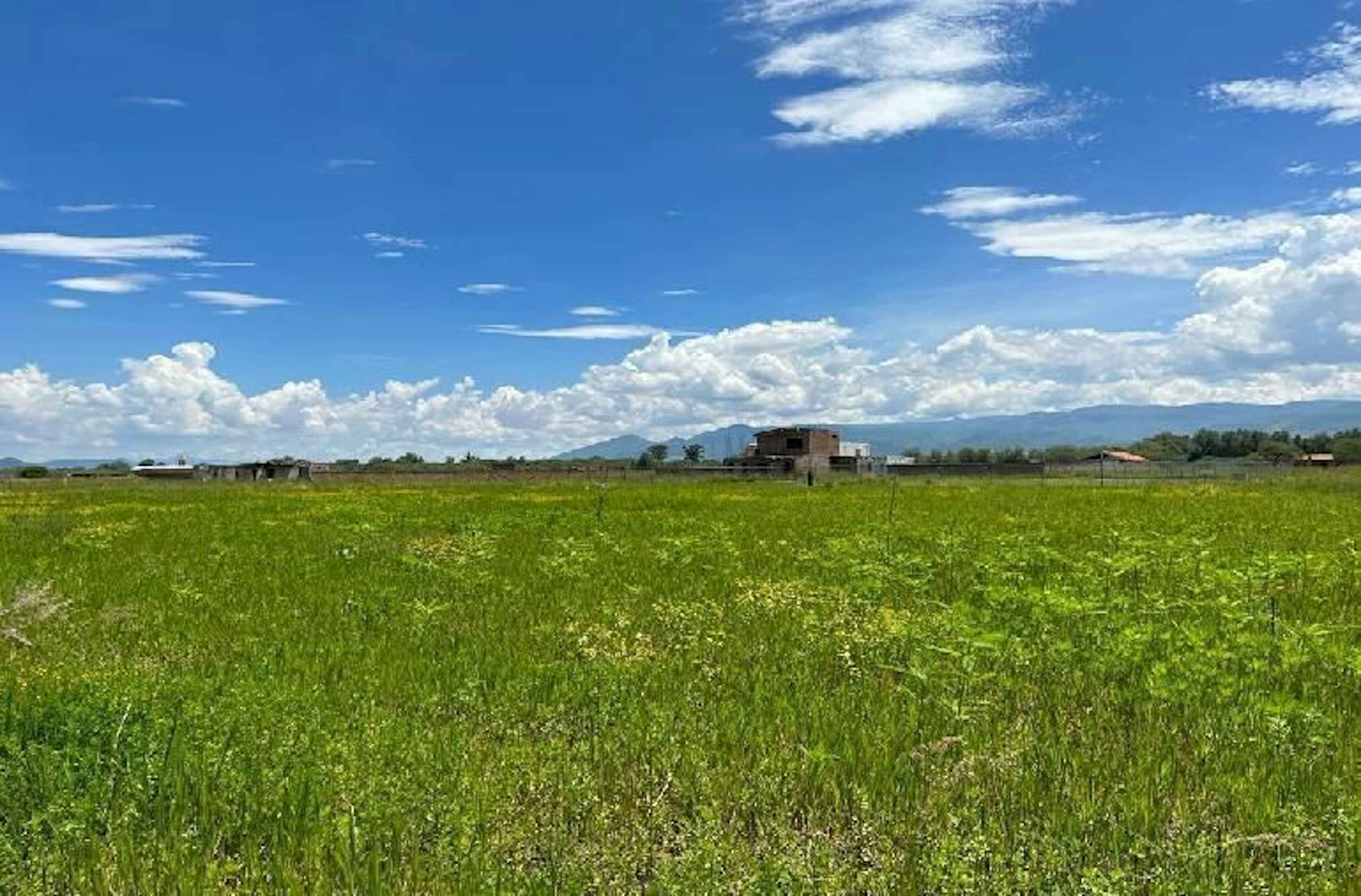 Terreno En Venta En Pinar De La Laguna 17 Atotonilco El Bajo Villa Corona