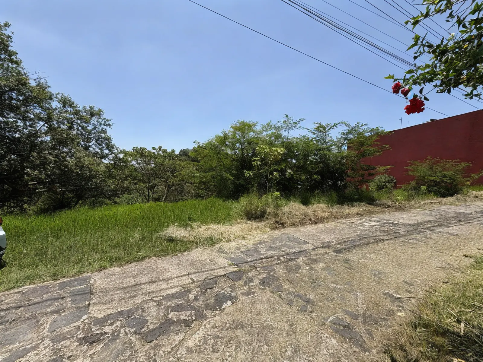Terreno Spot2