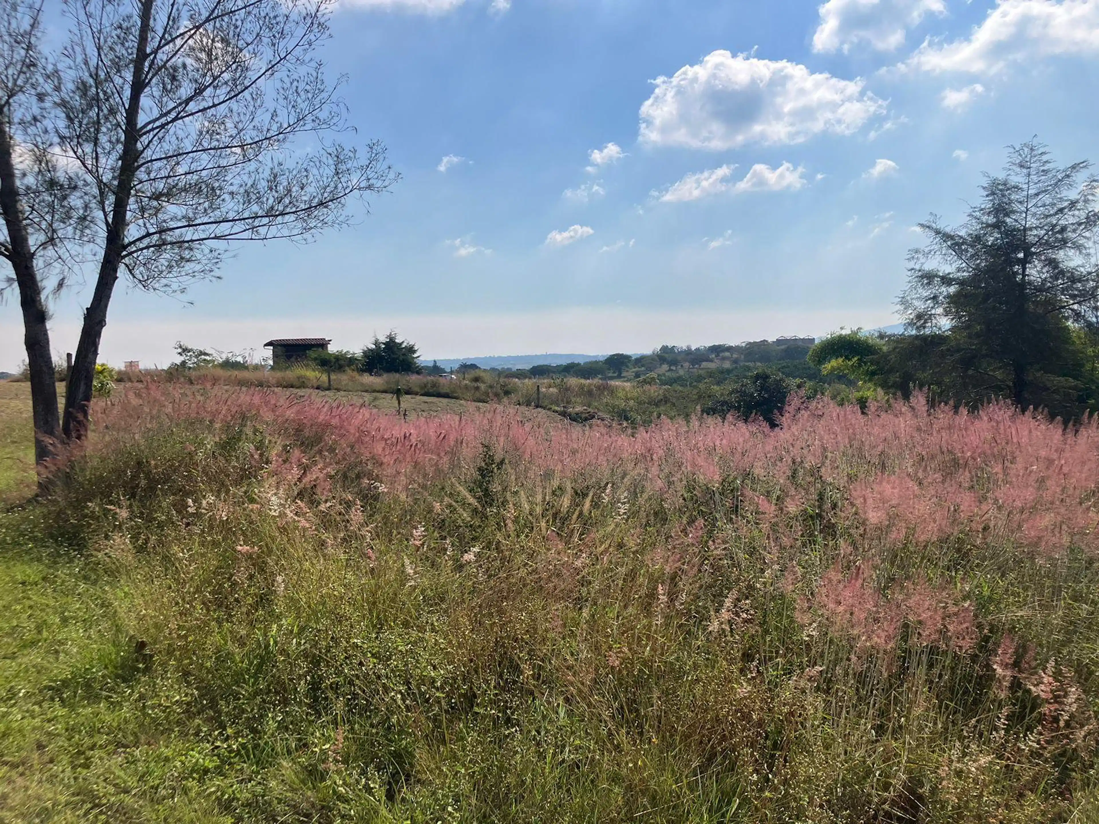 Terreno En Venta En El Lencero