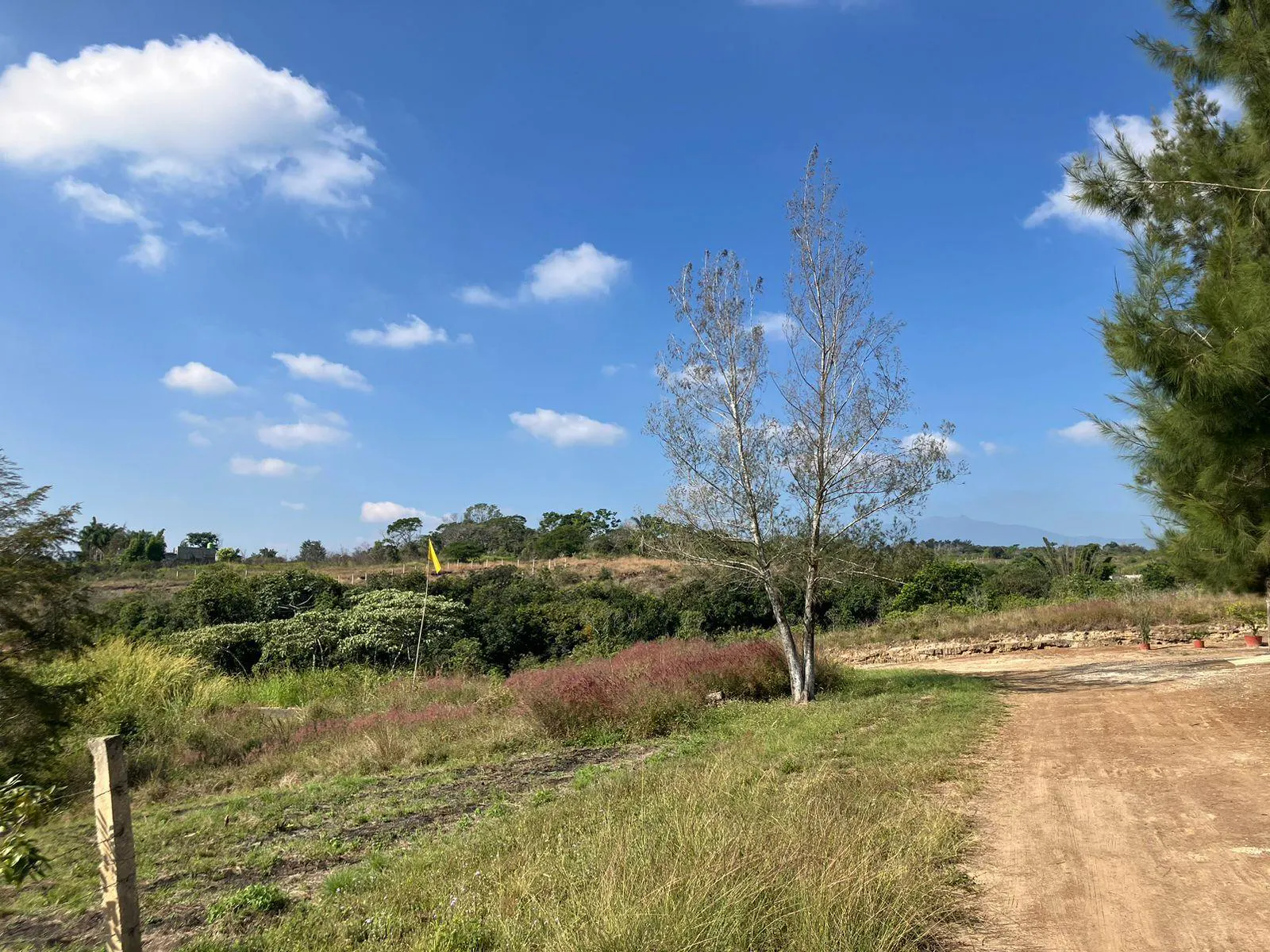 Terreno Spot2