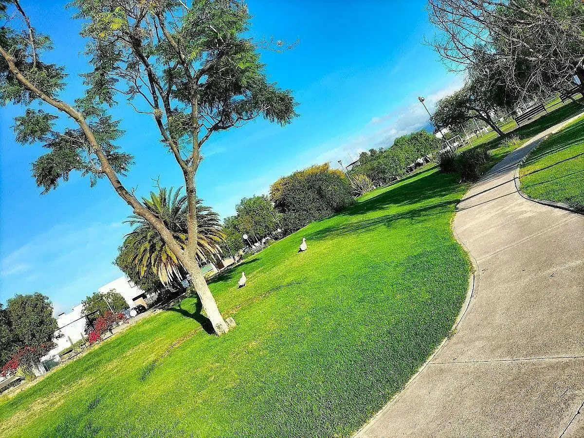 Terreno Spot2