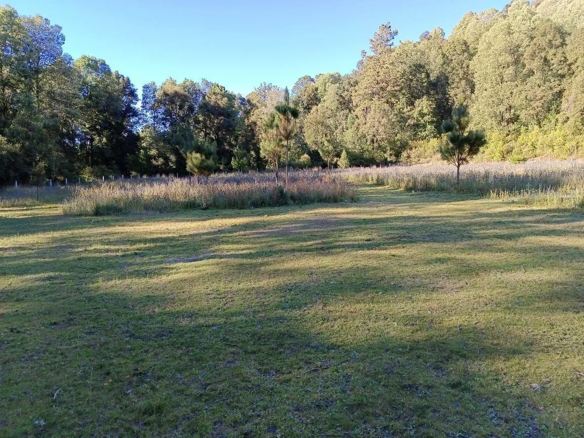 Terreno Spot2