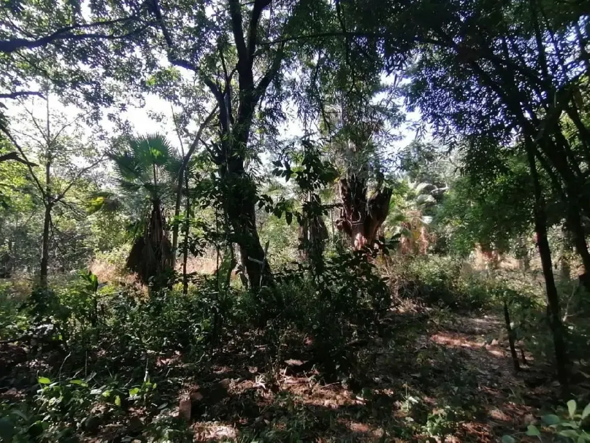 Terreno Spot2