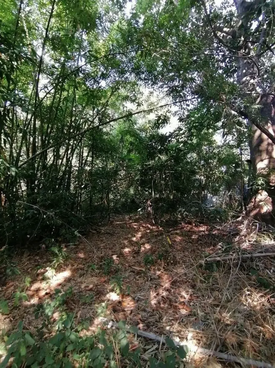 Terreno Spot2
