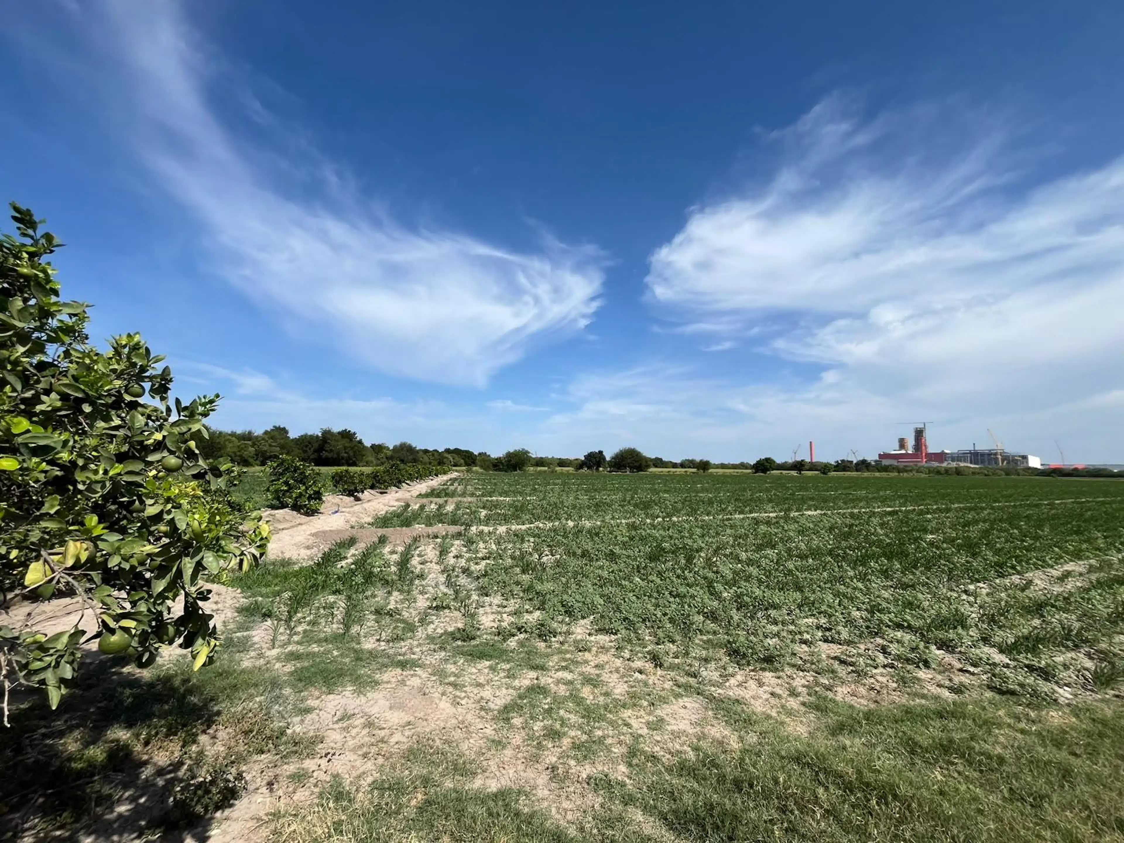 Terreno en venta de 3 hectáreas Pesqueria Nuevo León.