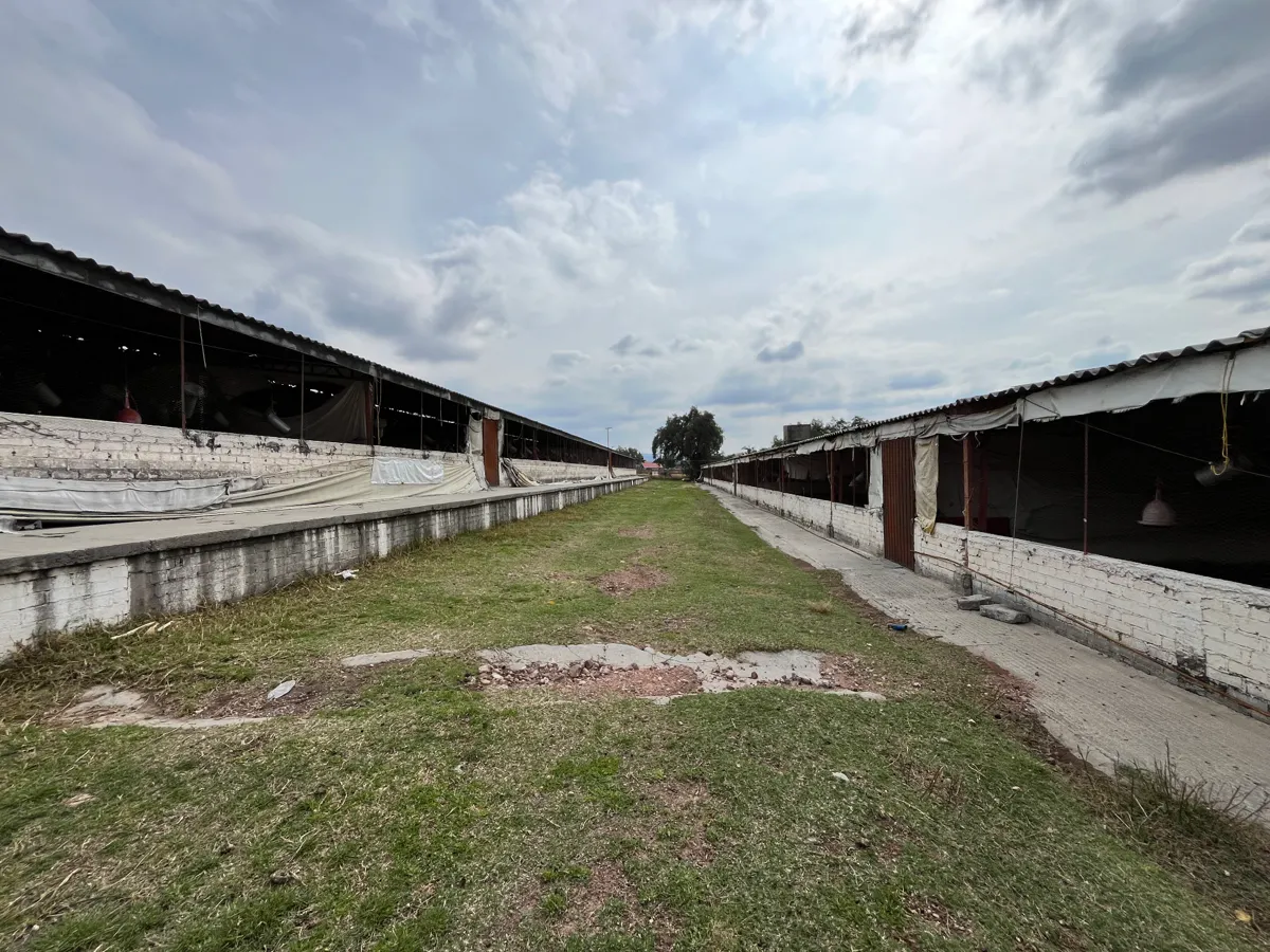 Terreno Spot2