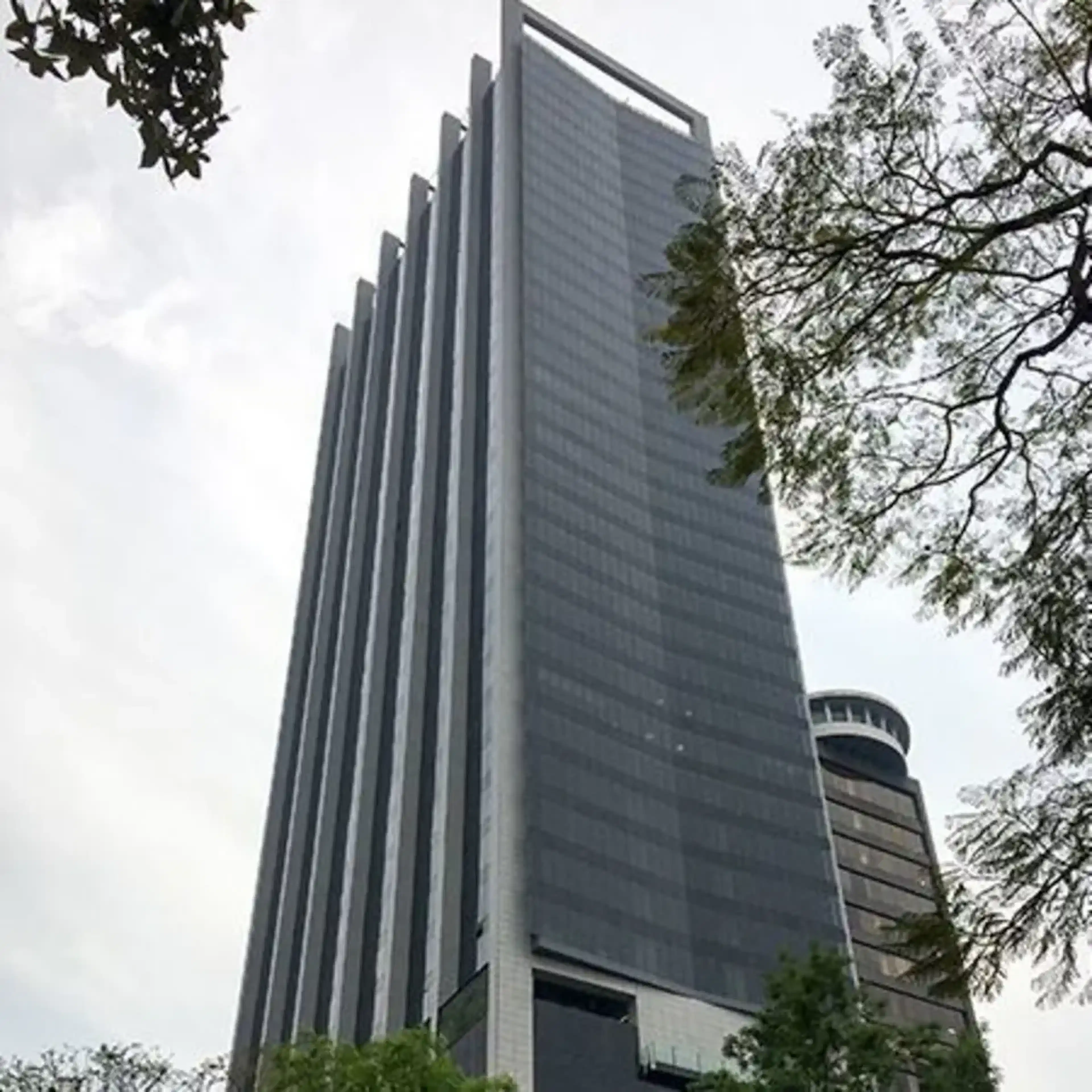 Avenida Paseo De La Reforma