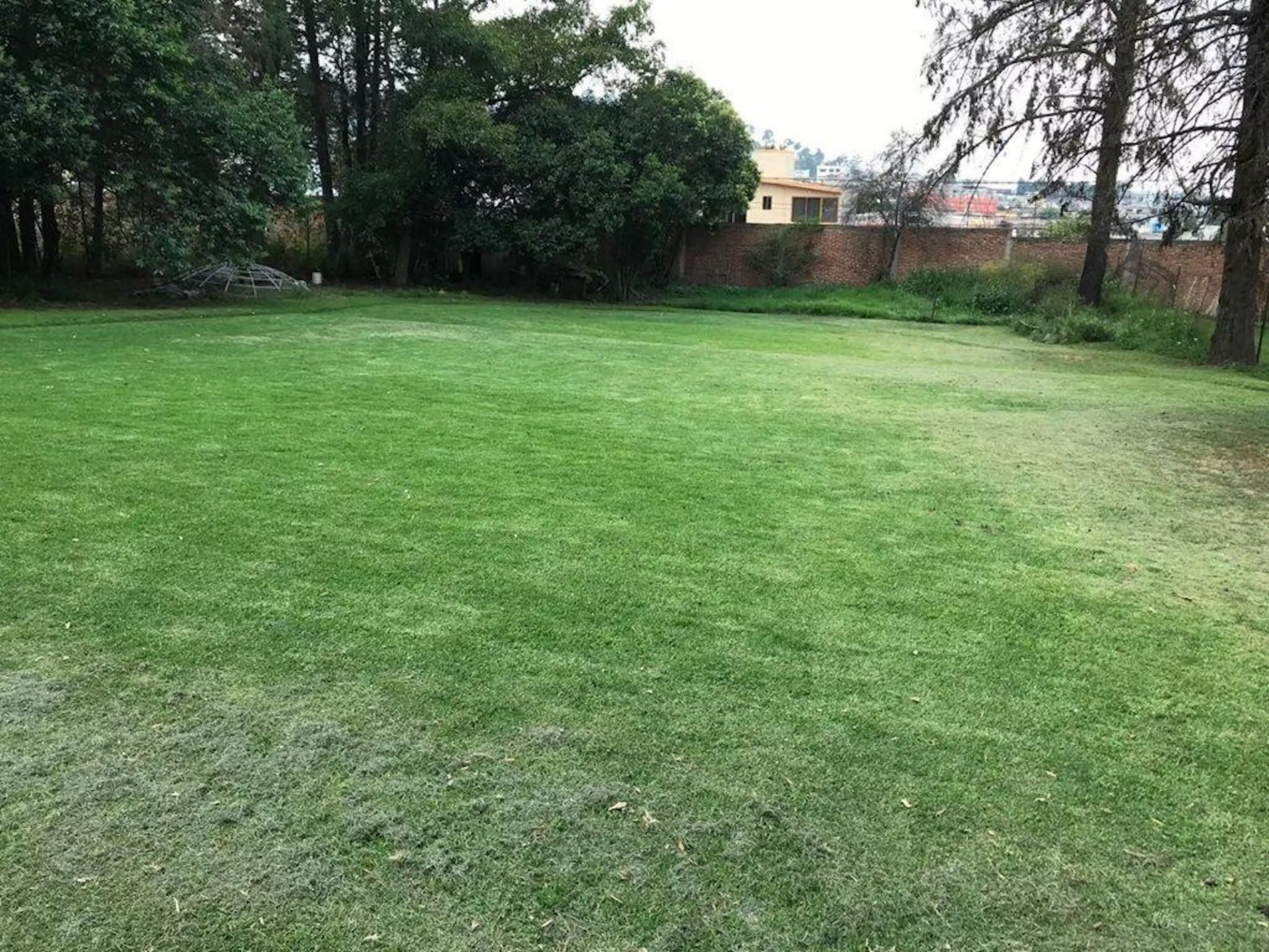 Terreno En Venta En Barrio De Los Chincolas, Tlamanalco, Estado De México.