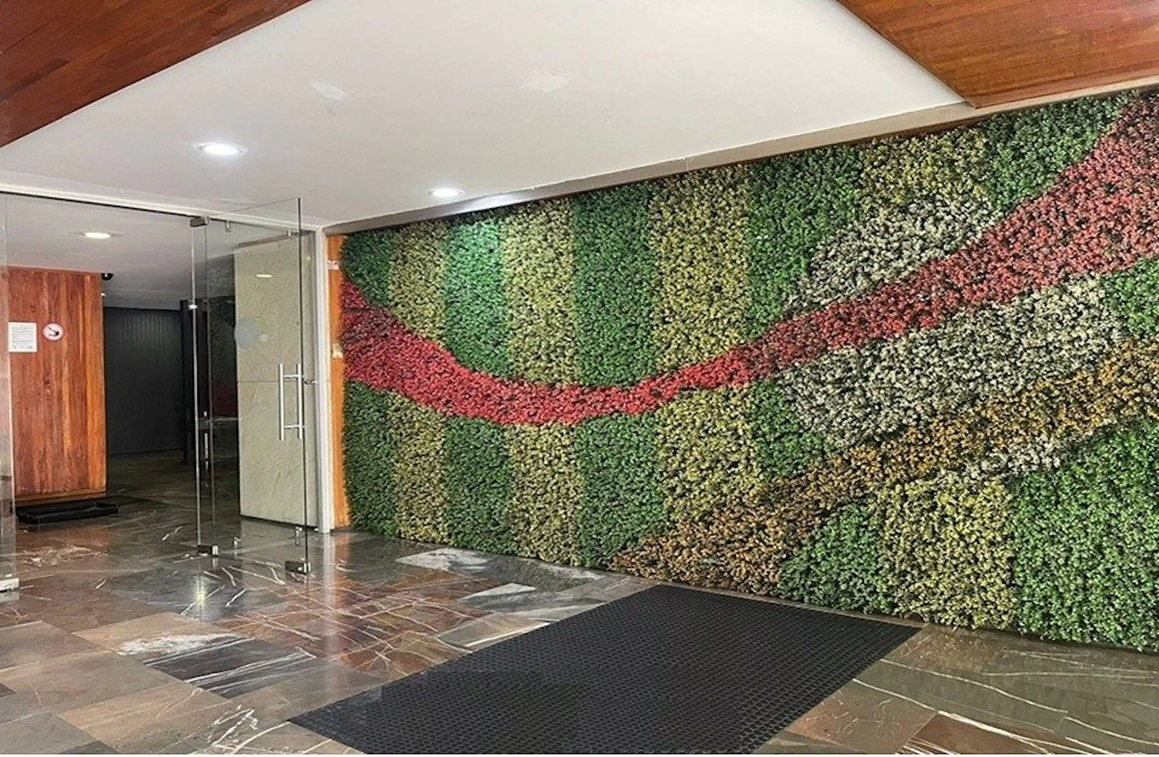 Avenida Baja California