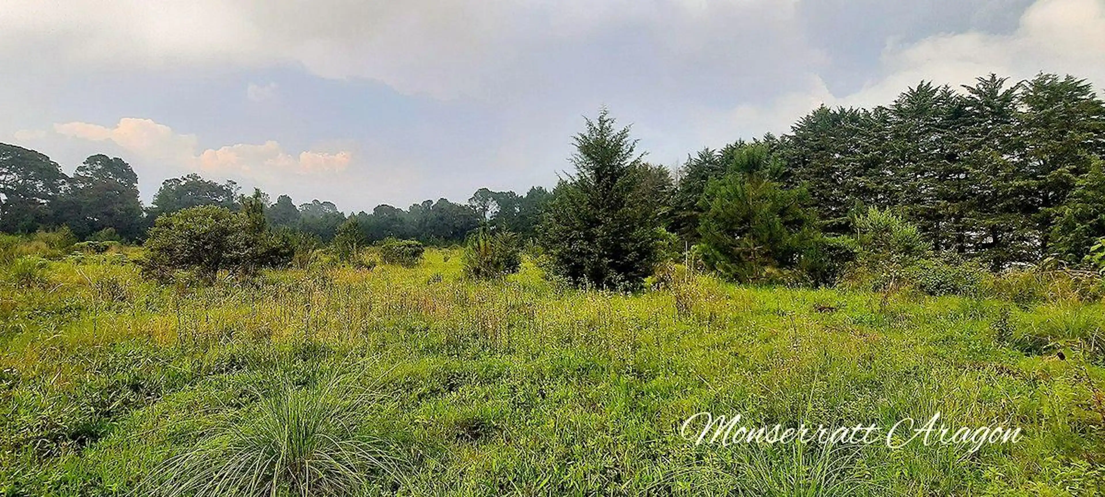 Espectacular terreno plano
