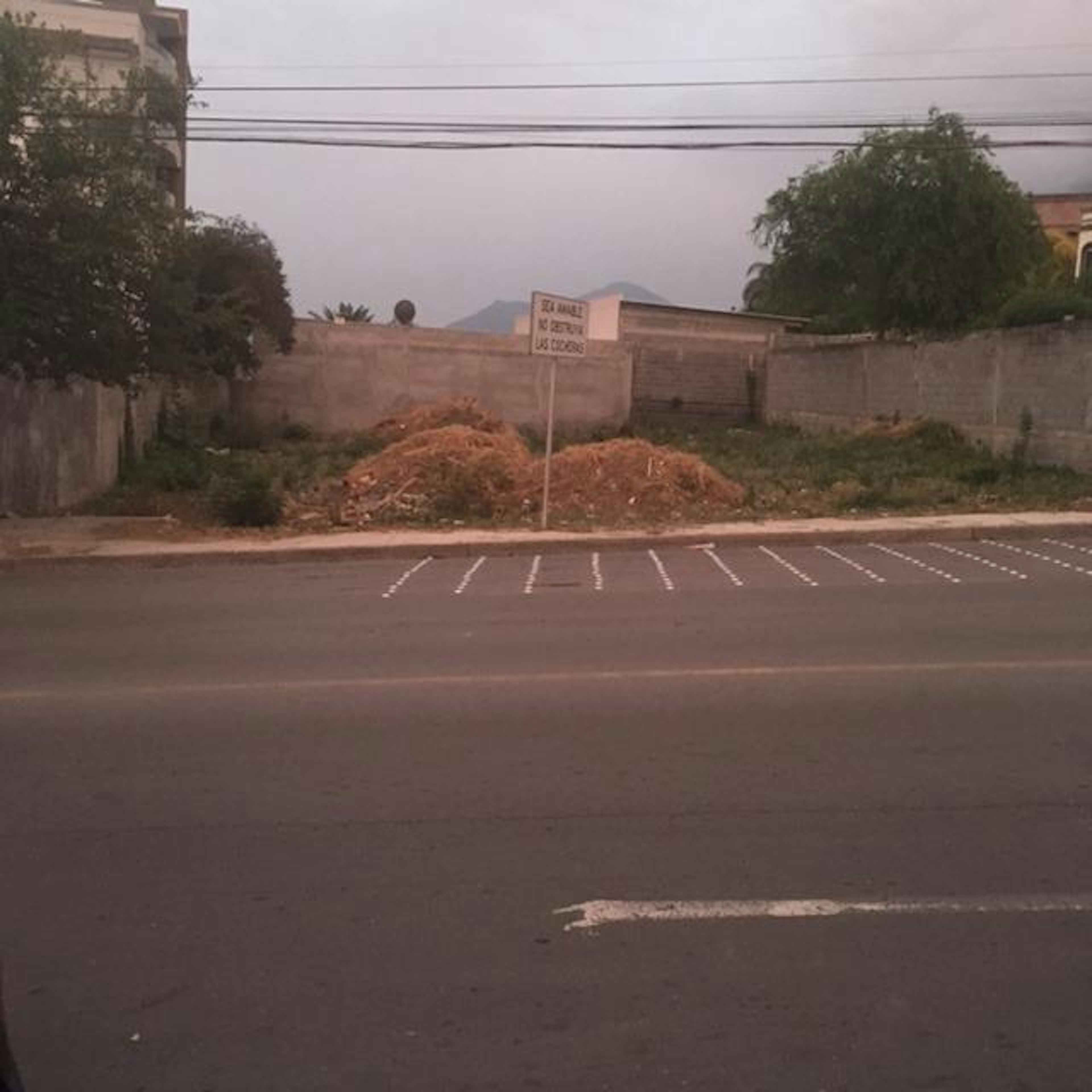 Calle Real De San Agustin 201 102