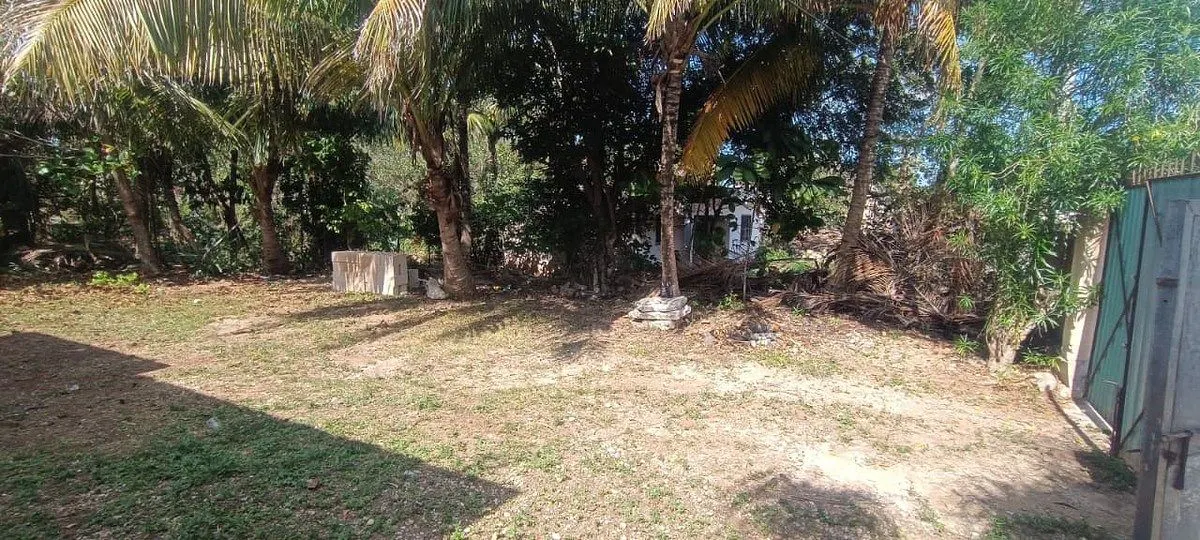 Terreno Spot2