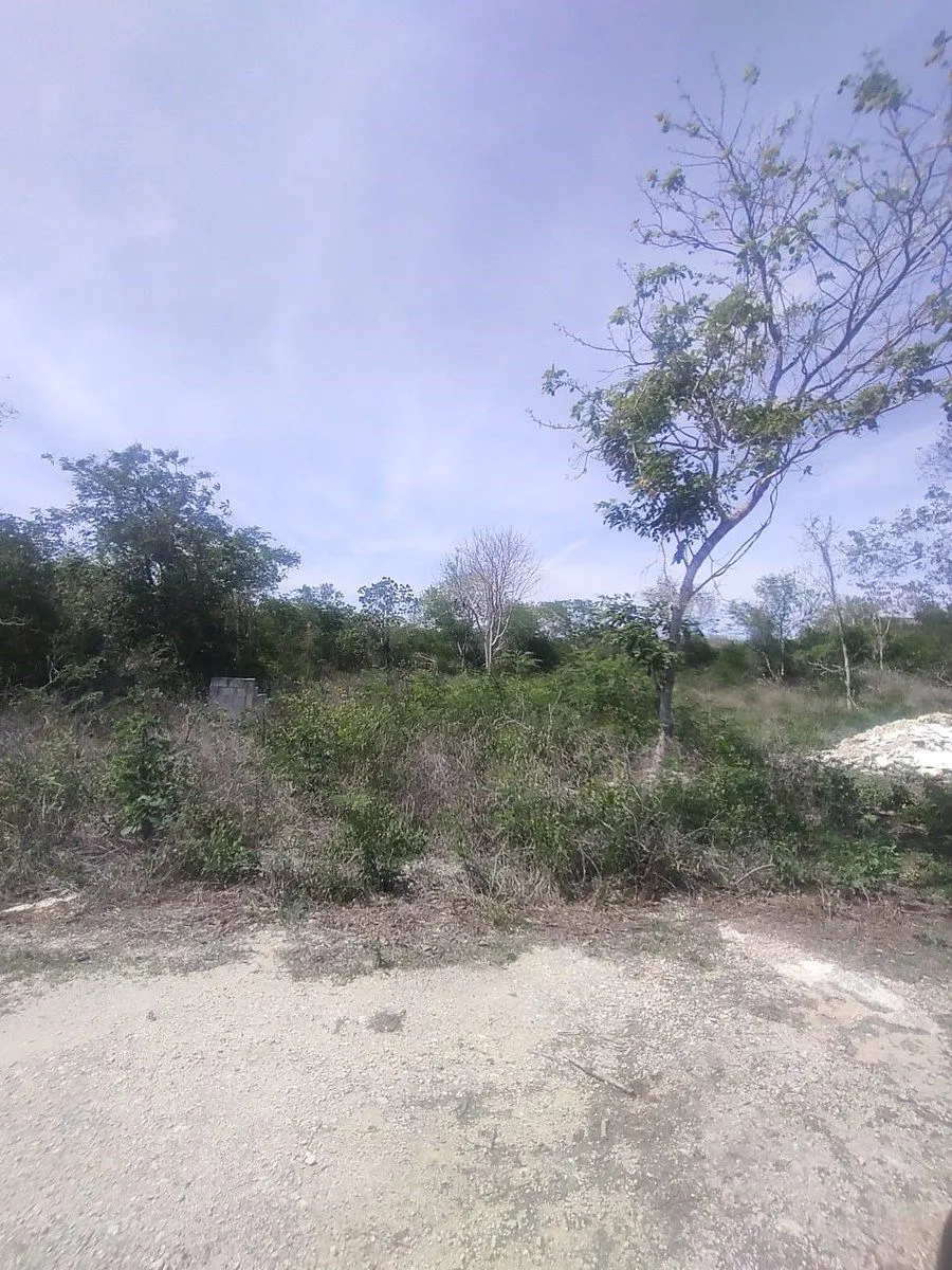 Terreno Spot2