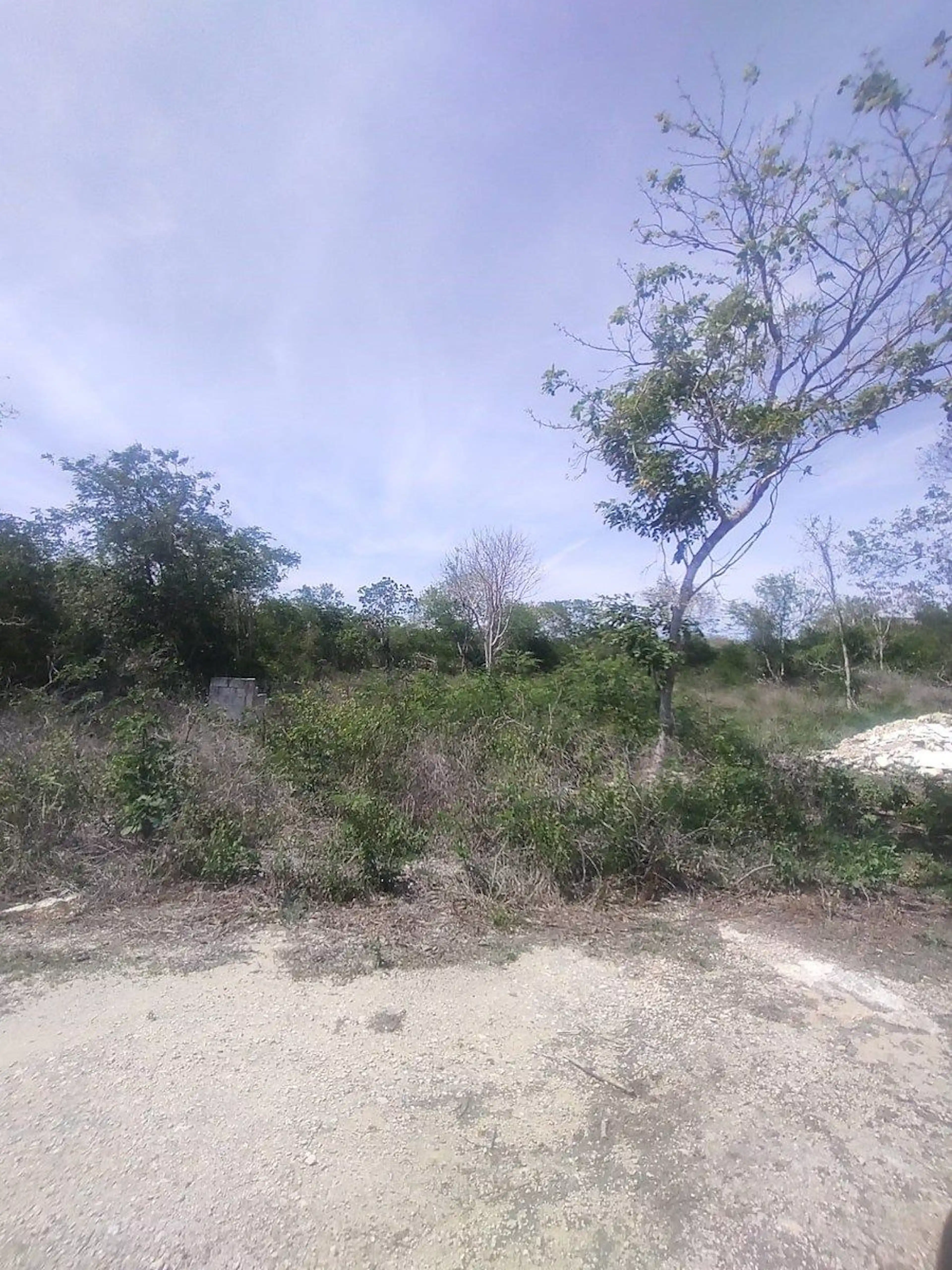 Terrenos En Mérida Komchen