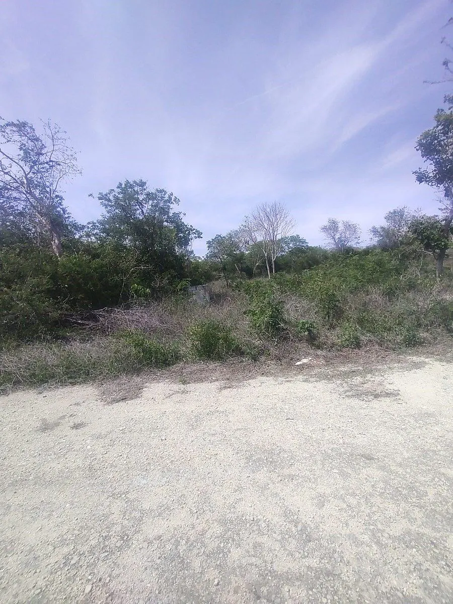 Terreno Spot2