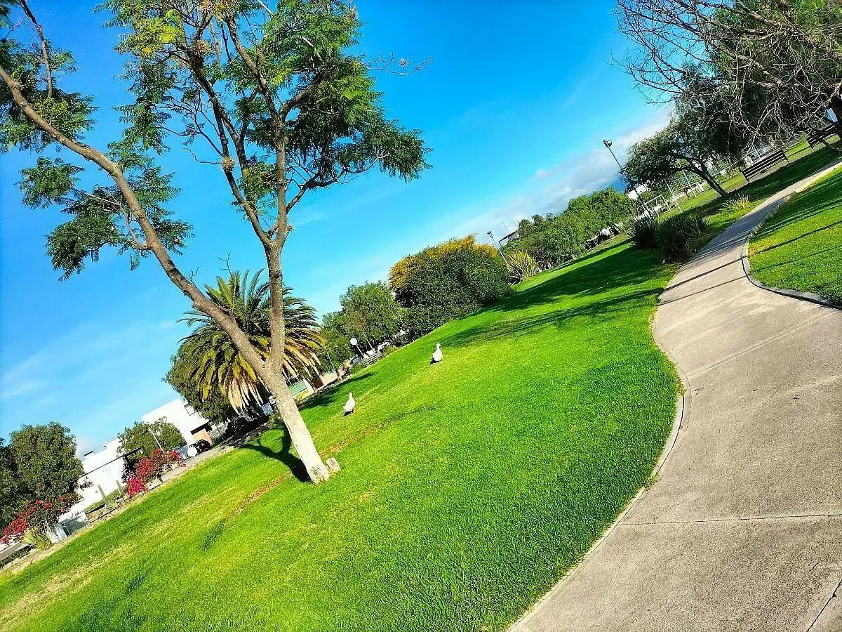 Terreno Spot2
