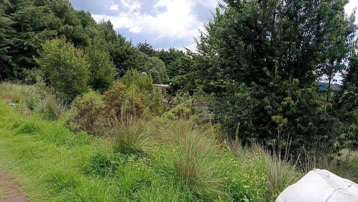Terreno Spot2