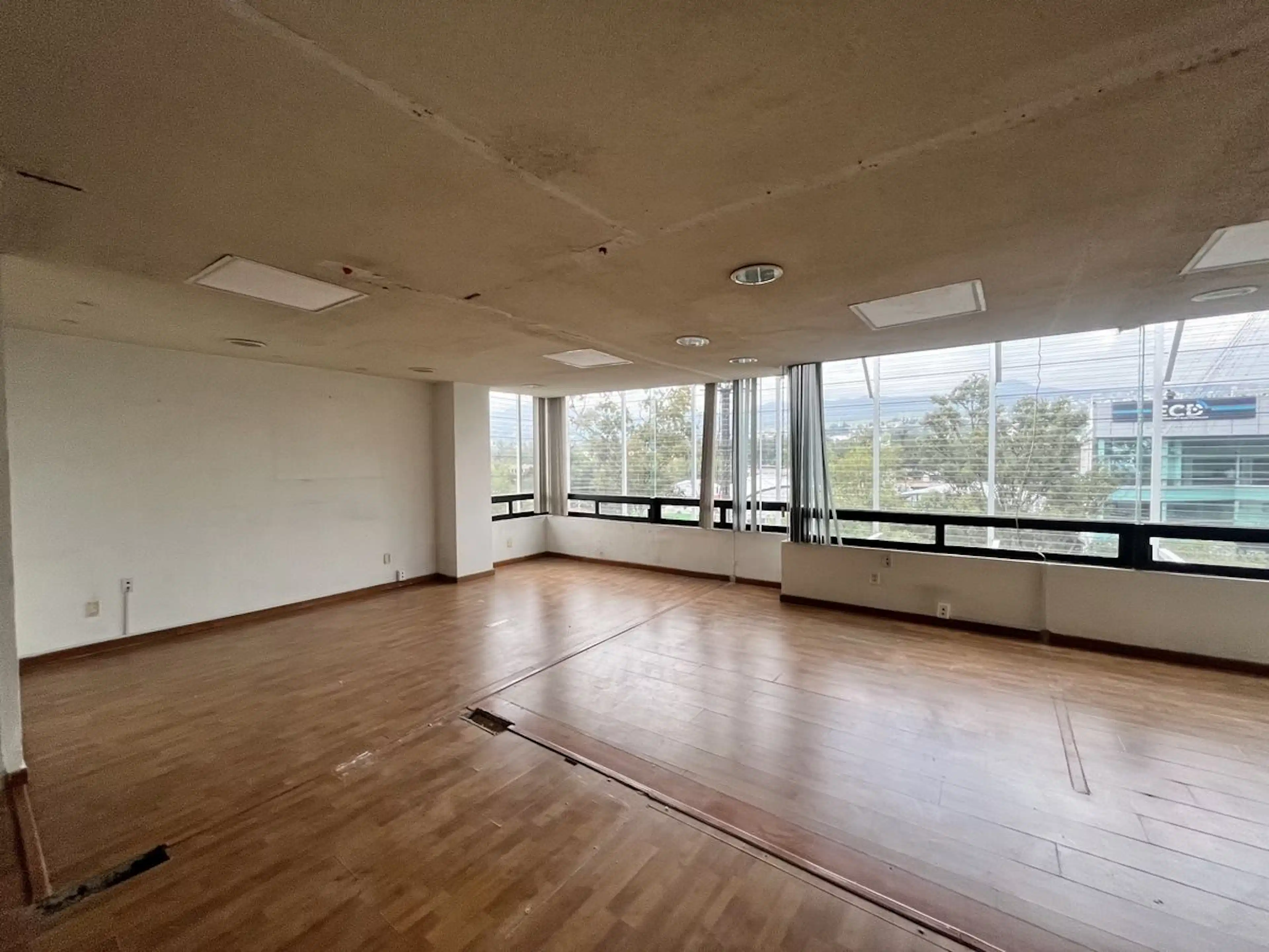 Avenida Insurgentes Sur