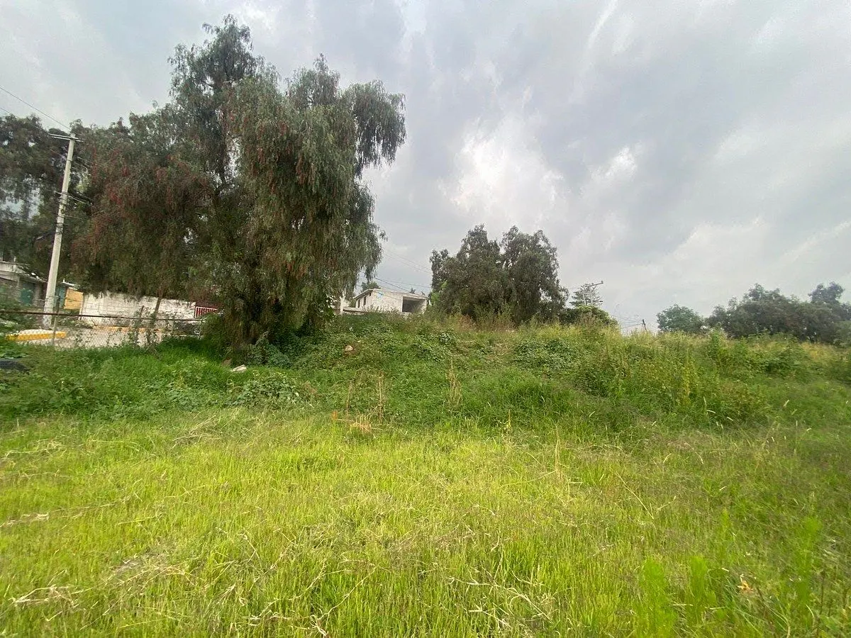 Terreno Spot2