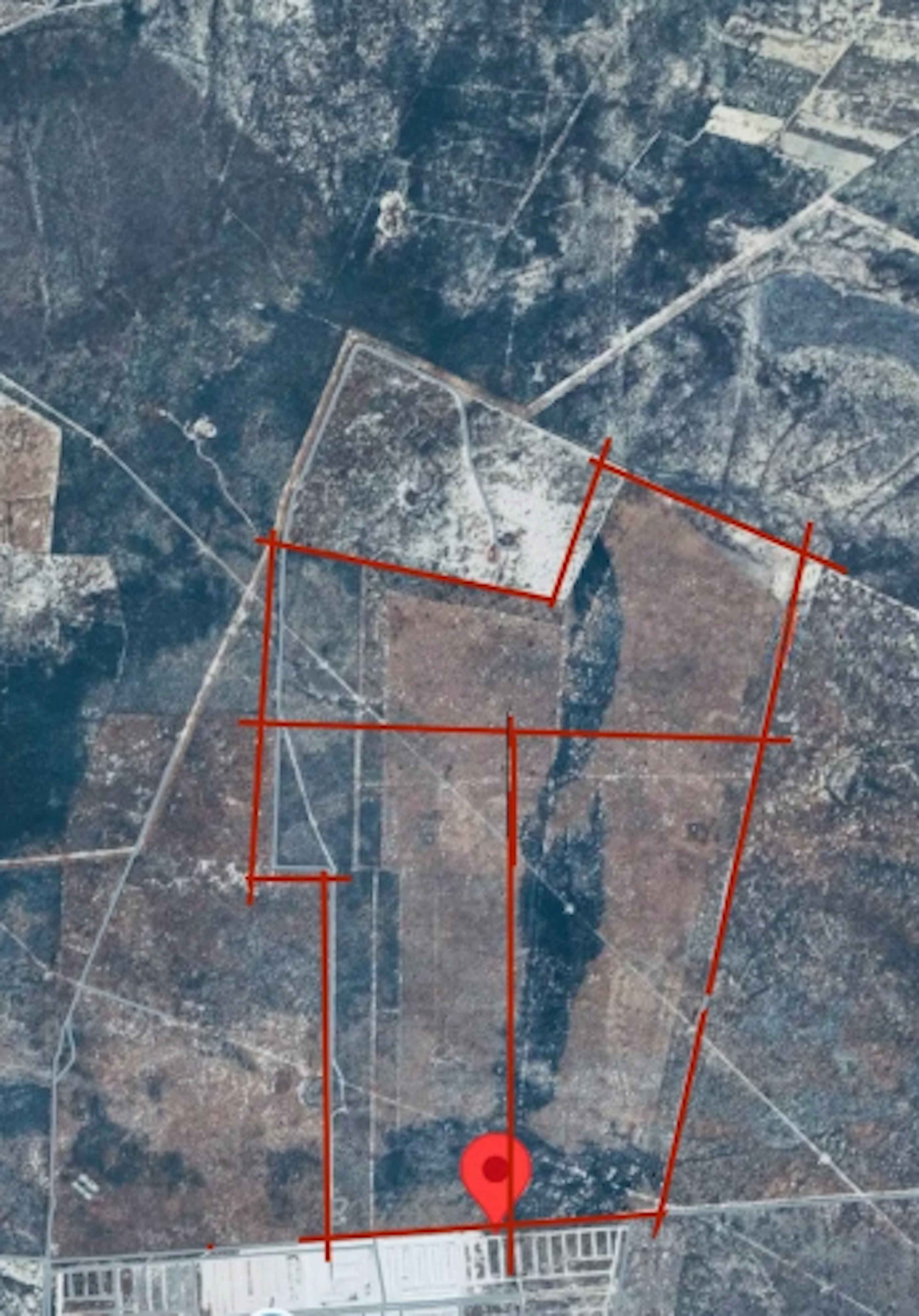 Vivero De La Colina 113