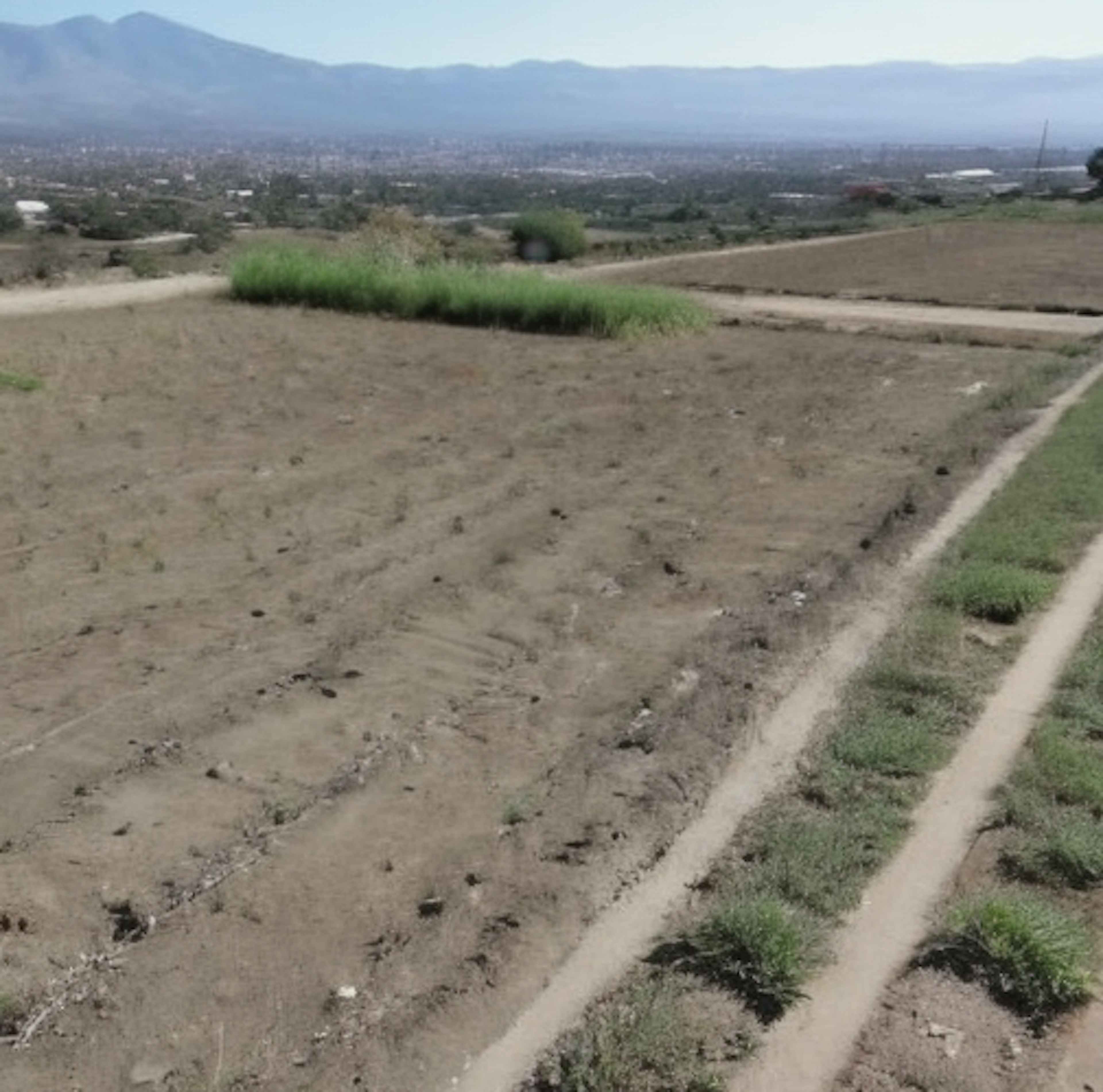 Fray Sebastián De Aparicio