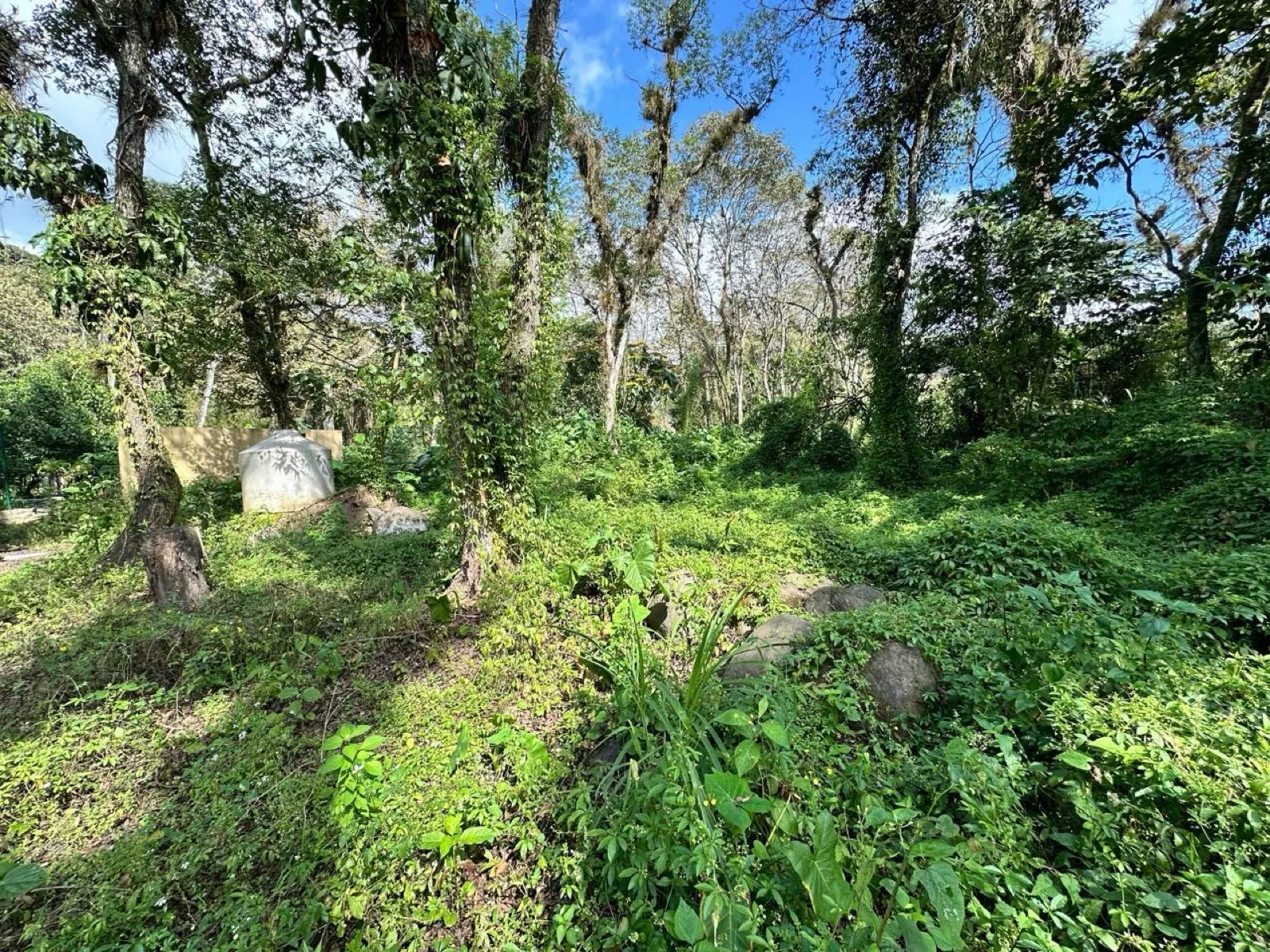 Terreno Spot2