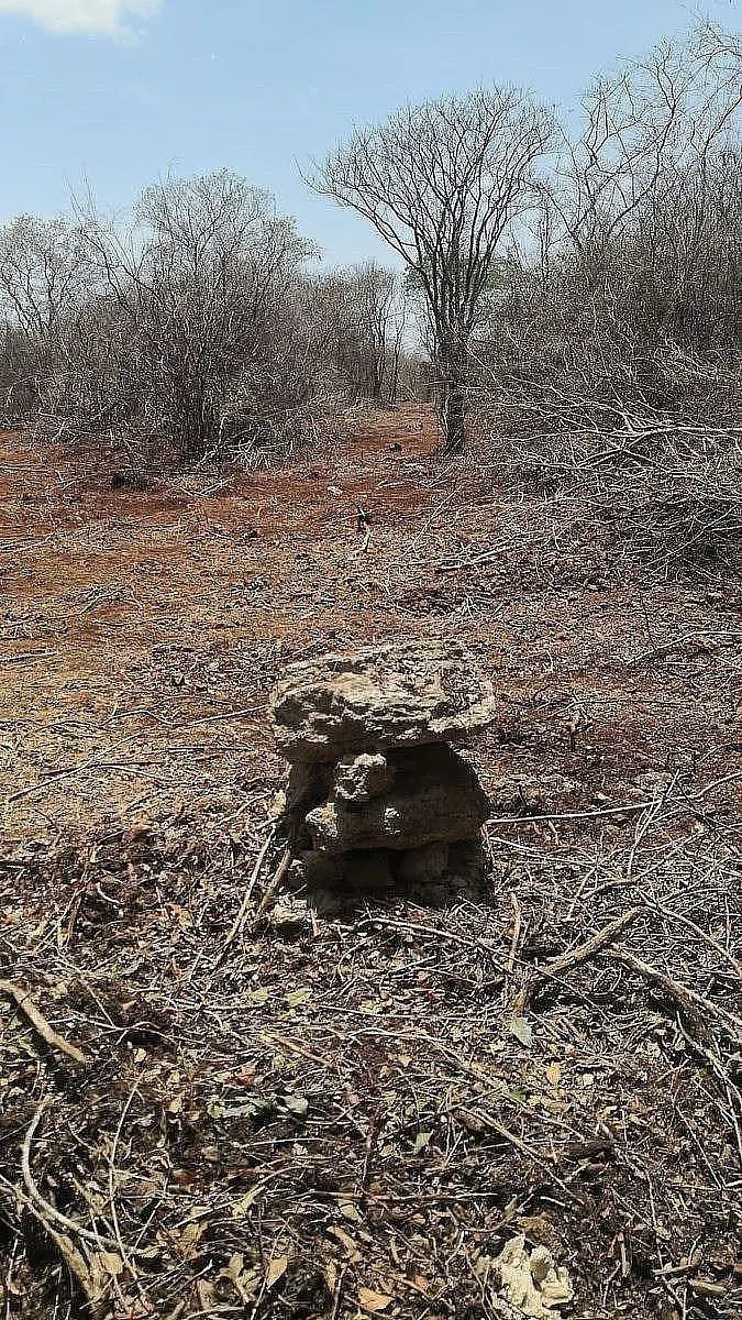 Terreno Spot2