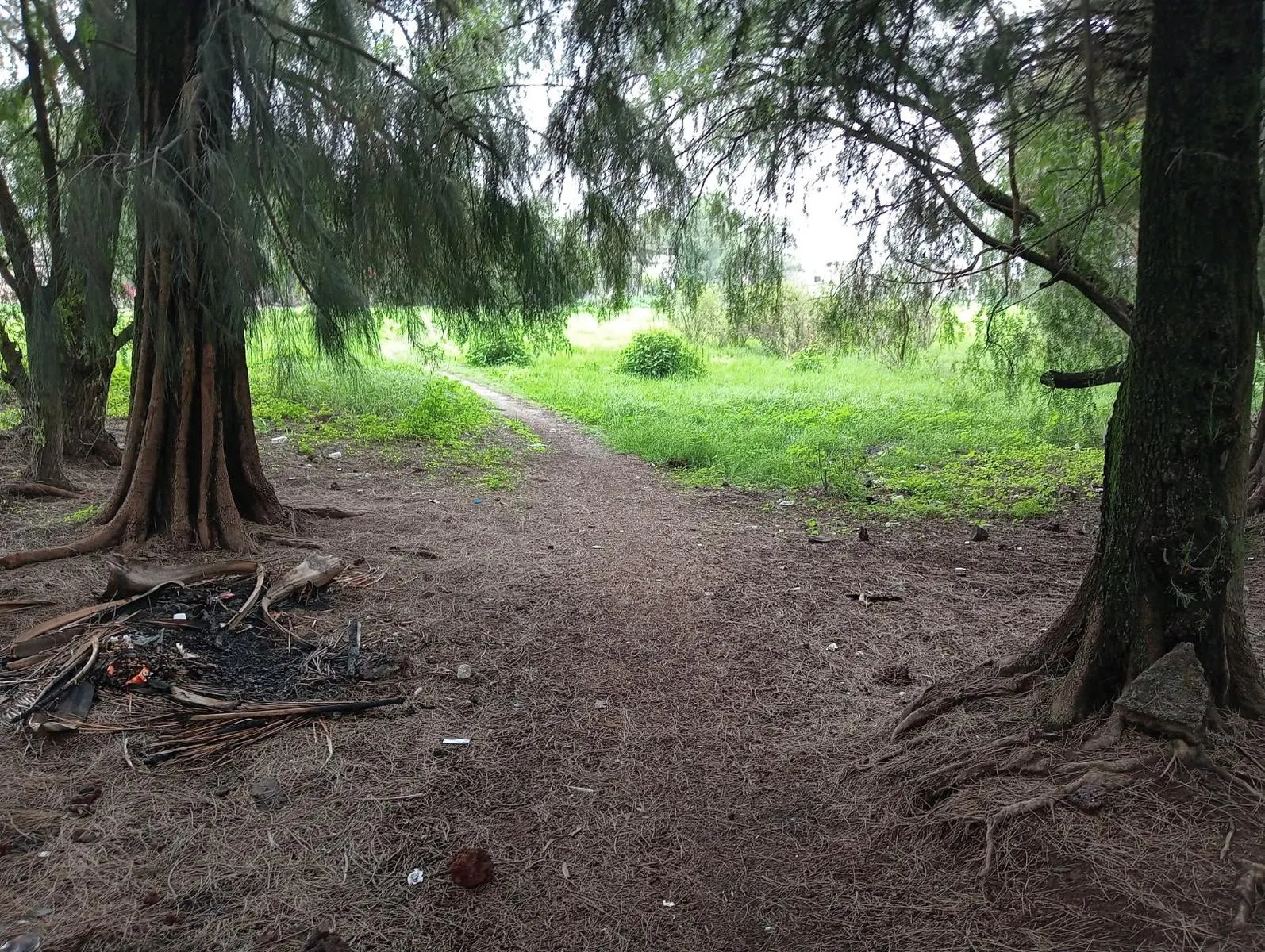 Terreno Spot2